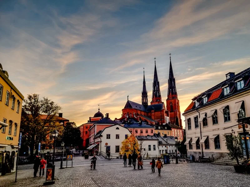 Любознательная экскурсия в Упсале, с посещением собора