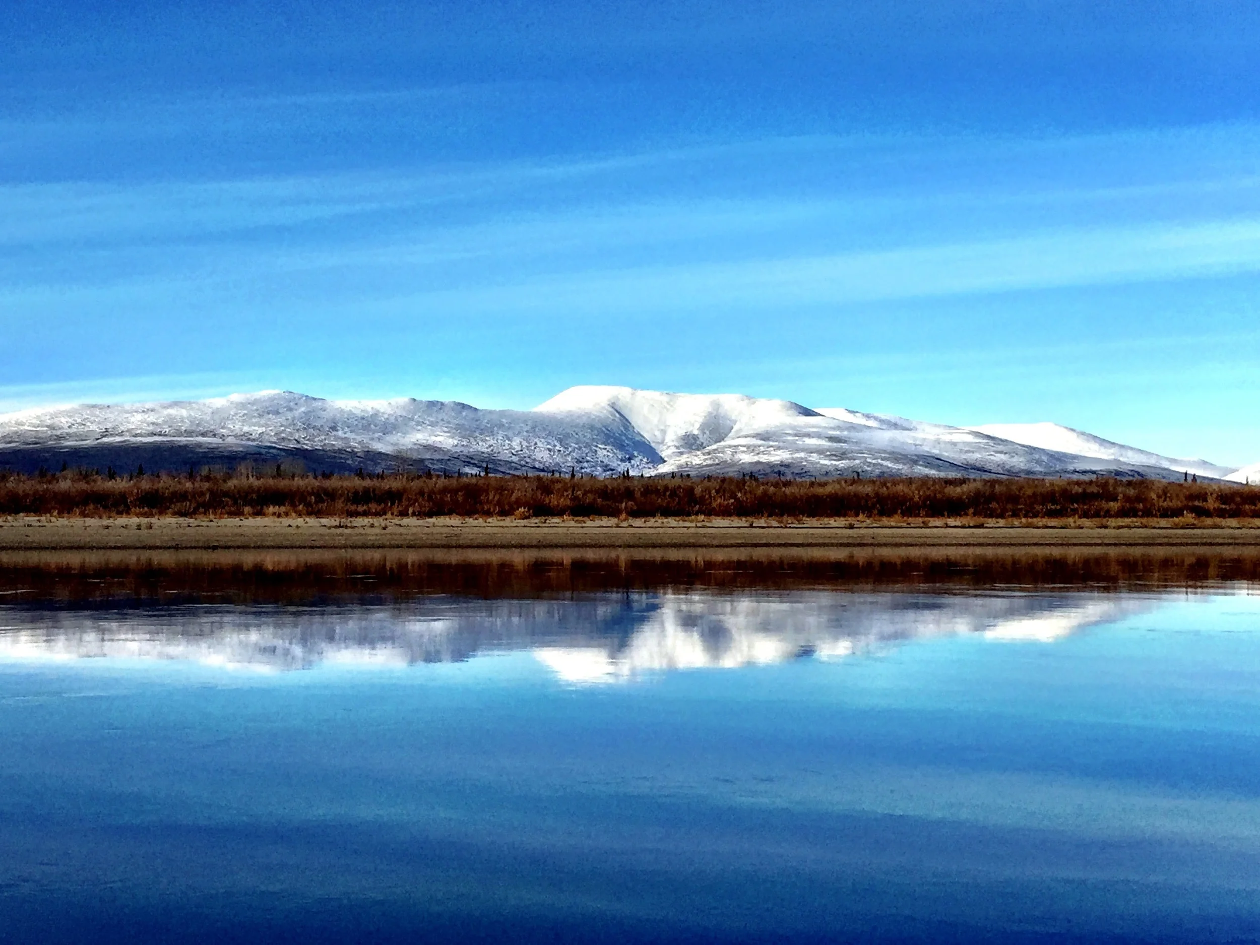 Porcupine River, 2015
