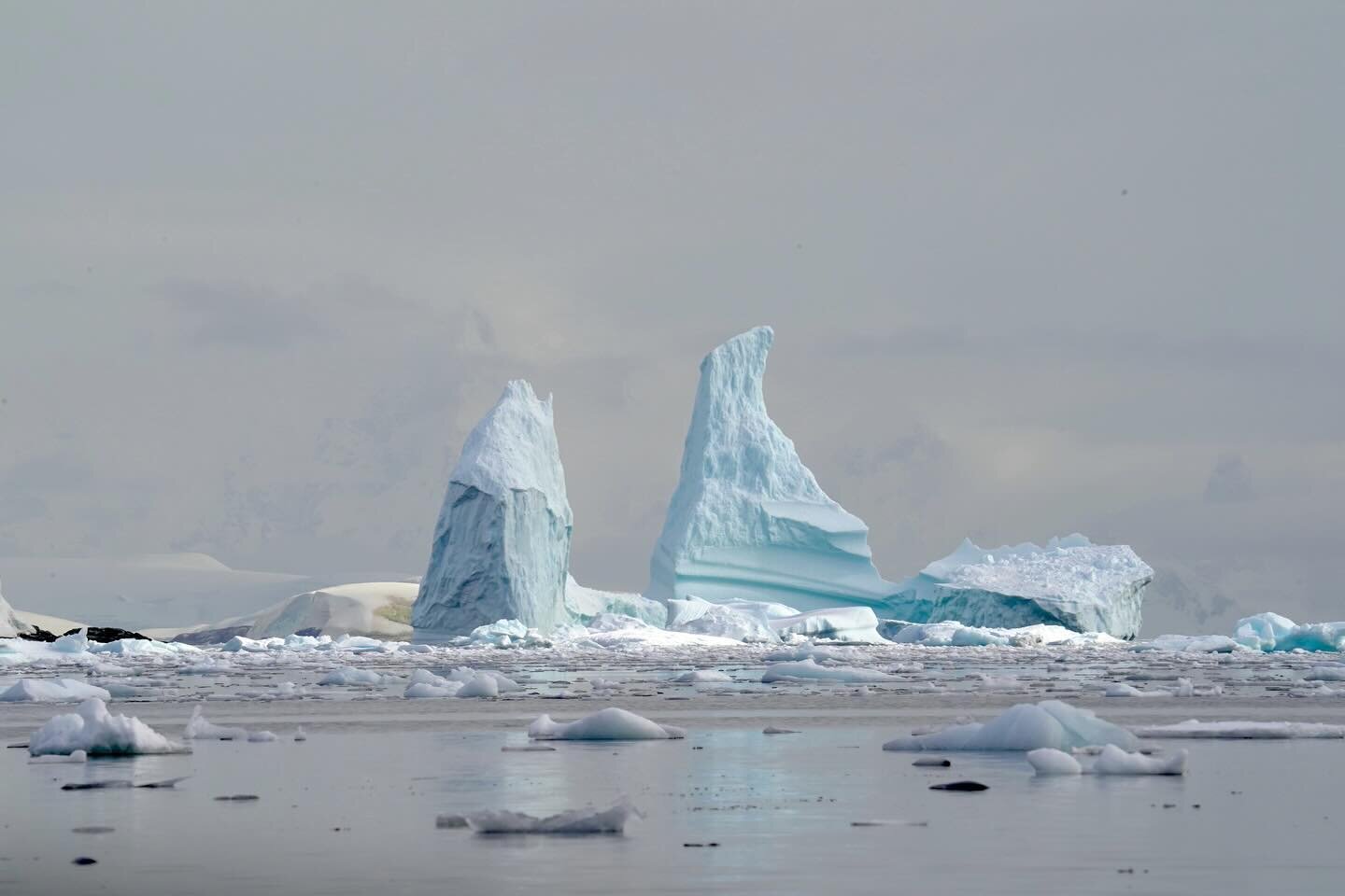 There is a habit in describing Antarctica to call it barren and hostile and unforgiving, but it is also&mdash;in color and light and life&mdash;a lush place, under the surface and in the off the surface refractions coming from the old ice.

#antarcti