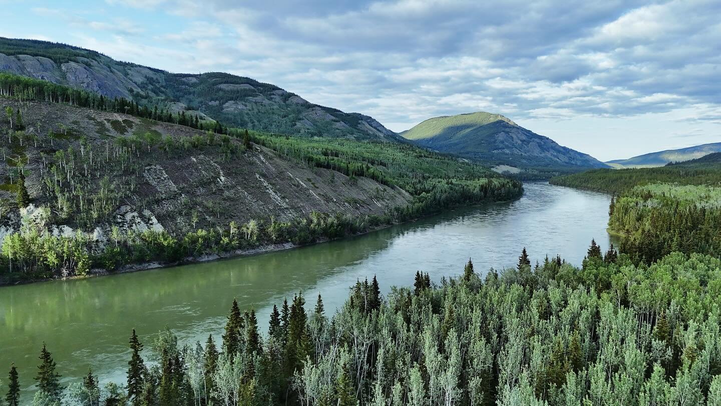 Just a very few images from the last five weeks of Yukon River life. Heart and mind full, and weeks more to go 💧
The river above Carmacks
Fire in the boreal below Fort Selkirk 
Moose swimming (zoom in for a true horror of horse flies on her poor sno