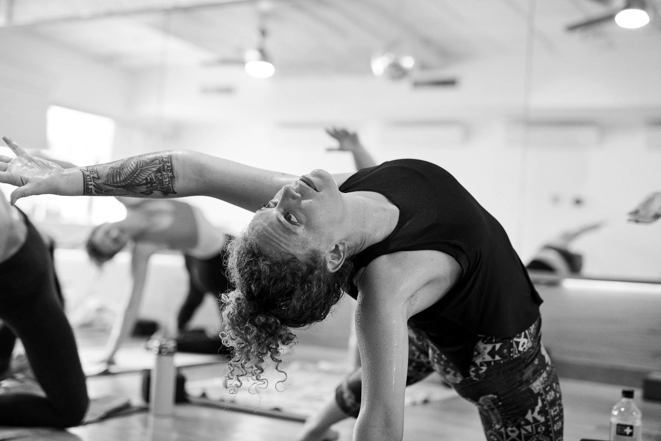 Miami Rates YO BK miami-rates-yo-bk