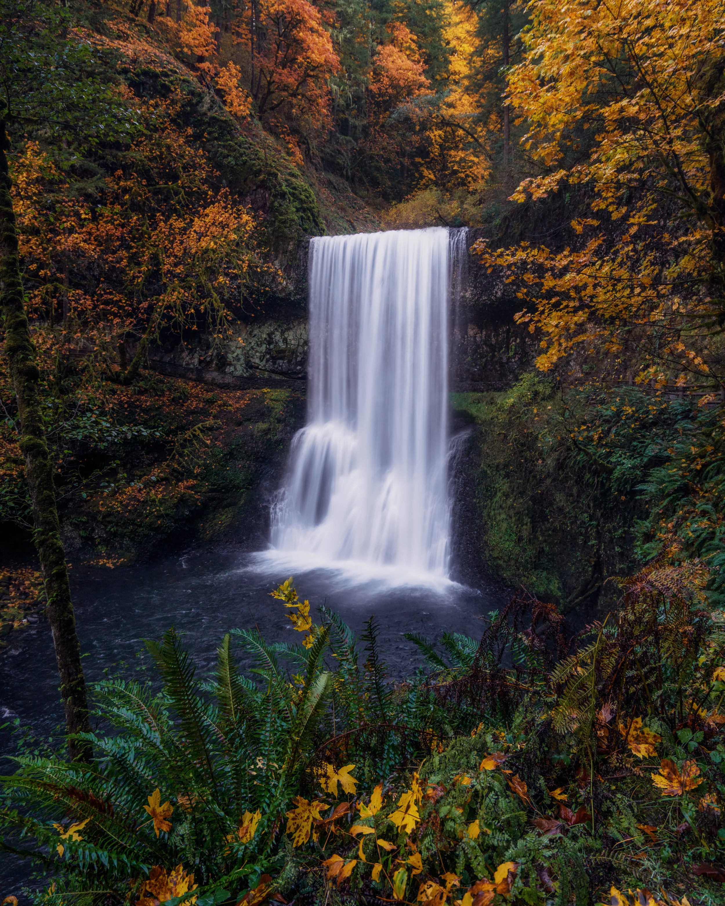 DSC05765-Edit-Edit.jpg