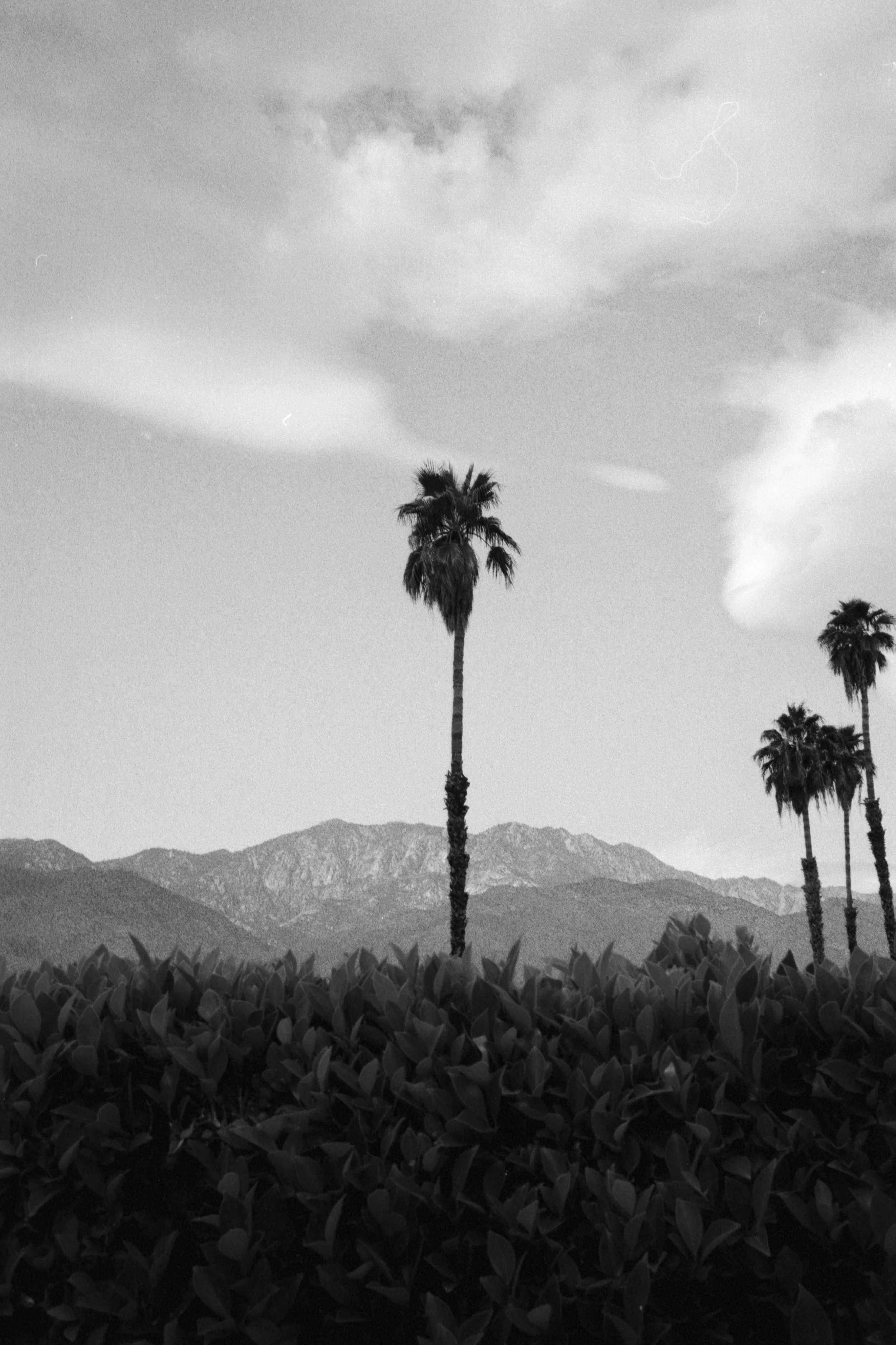 PALMSPRINGS_FEB2020_007.jpg