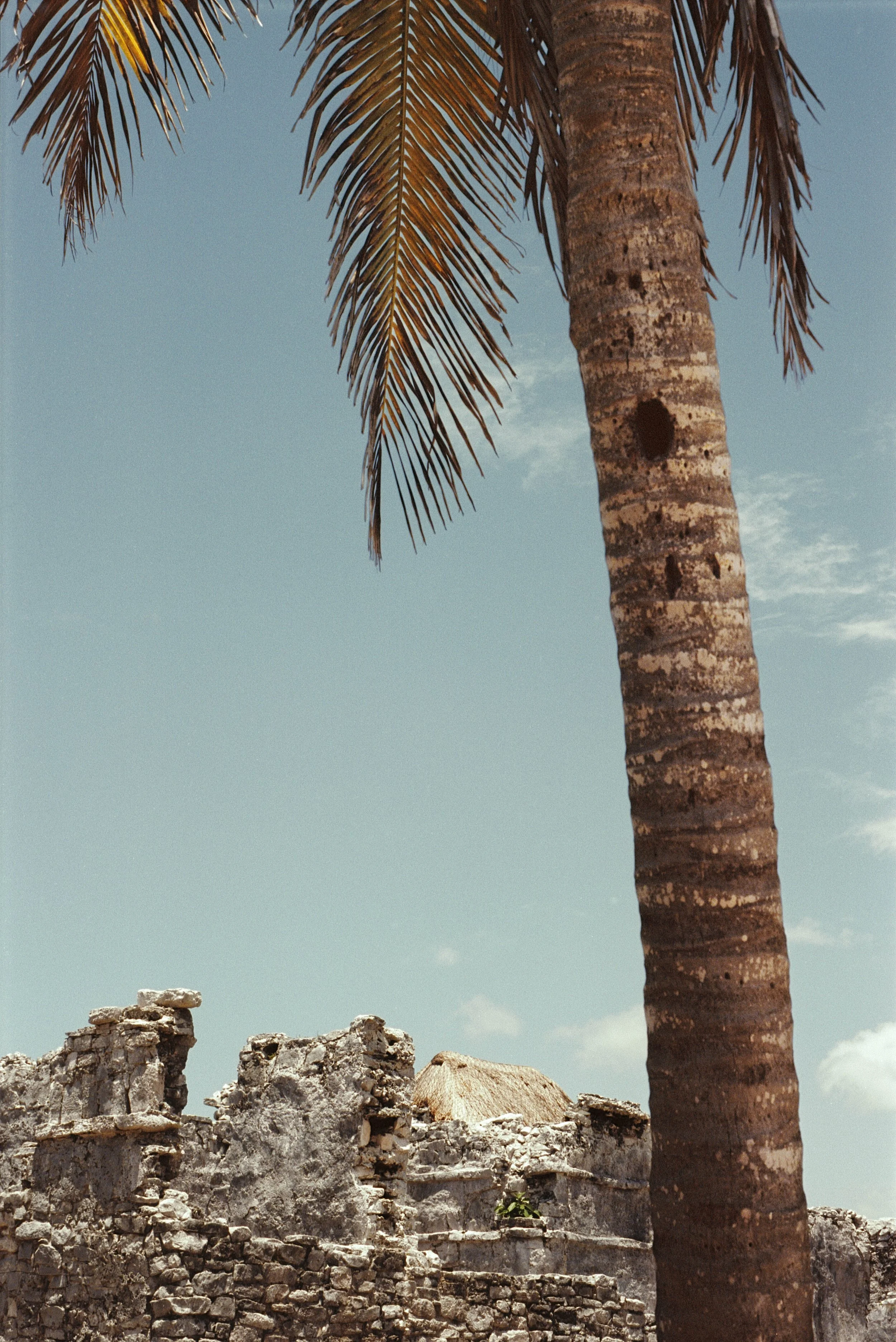 TULUM_2019_018.jpg