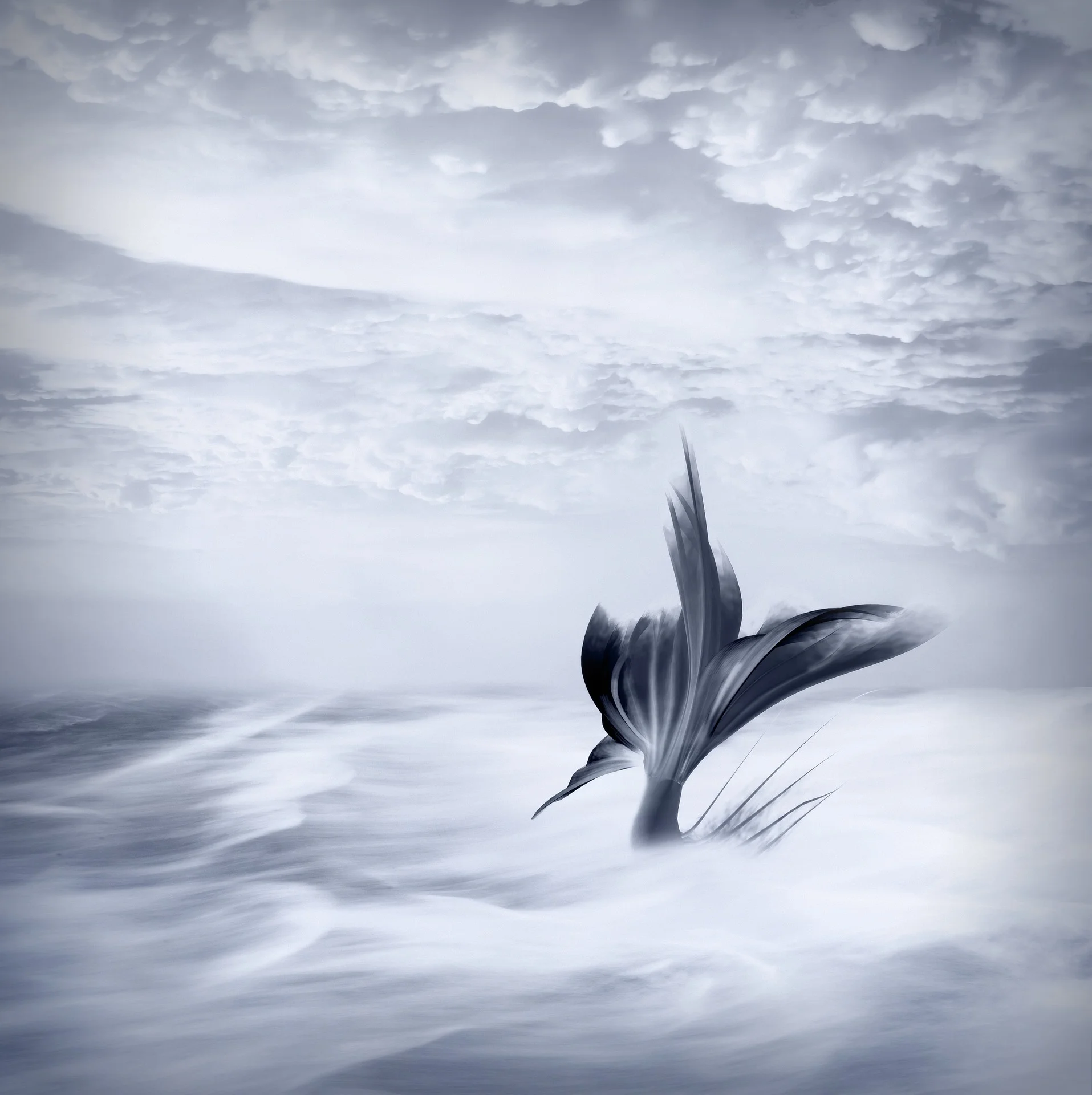 background-647559_1920.jpg