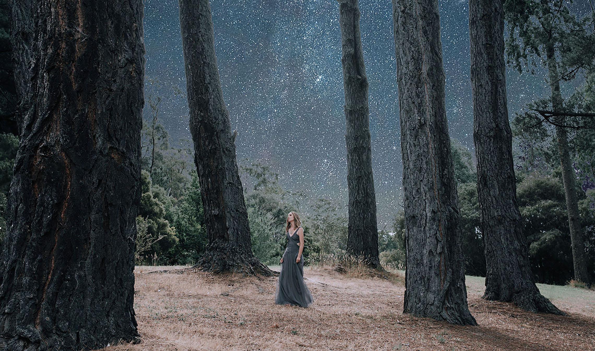 night sky banner 2 new.jpg