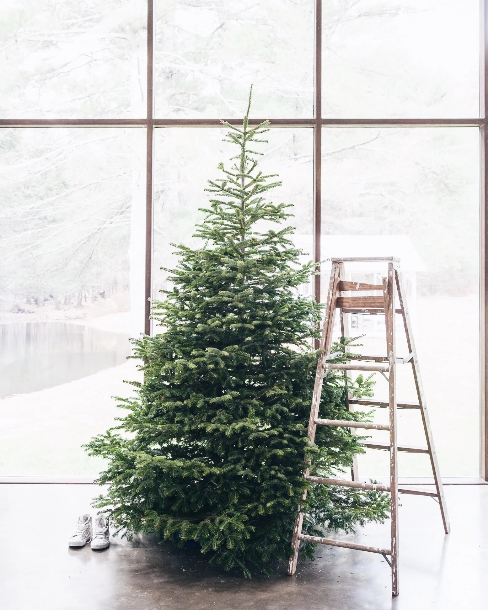 Photo cred @holidayworkroom