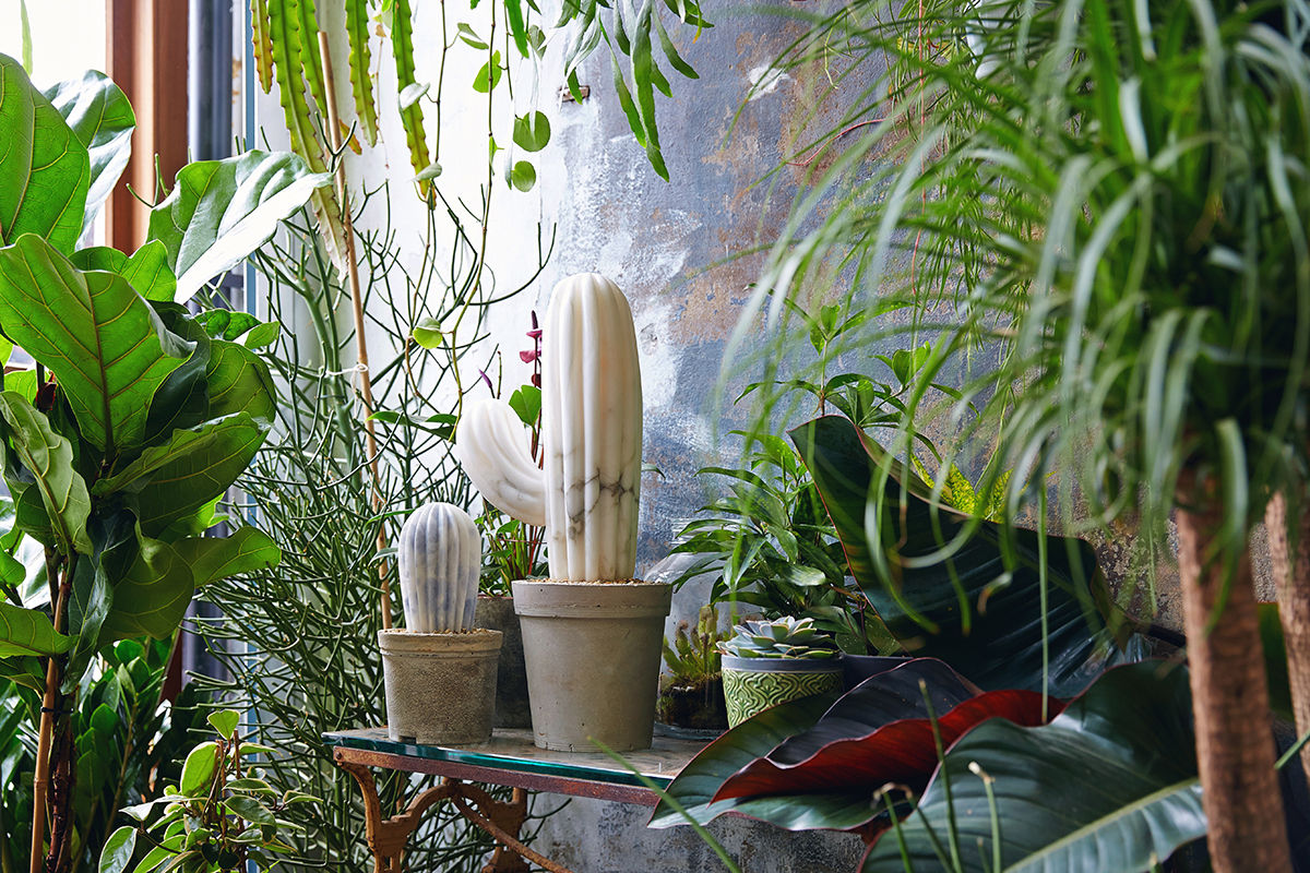 Ben Russell, Cactus House, Alabaster, 2017. Photograph courtesy of Tanya Dolver