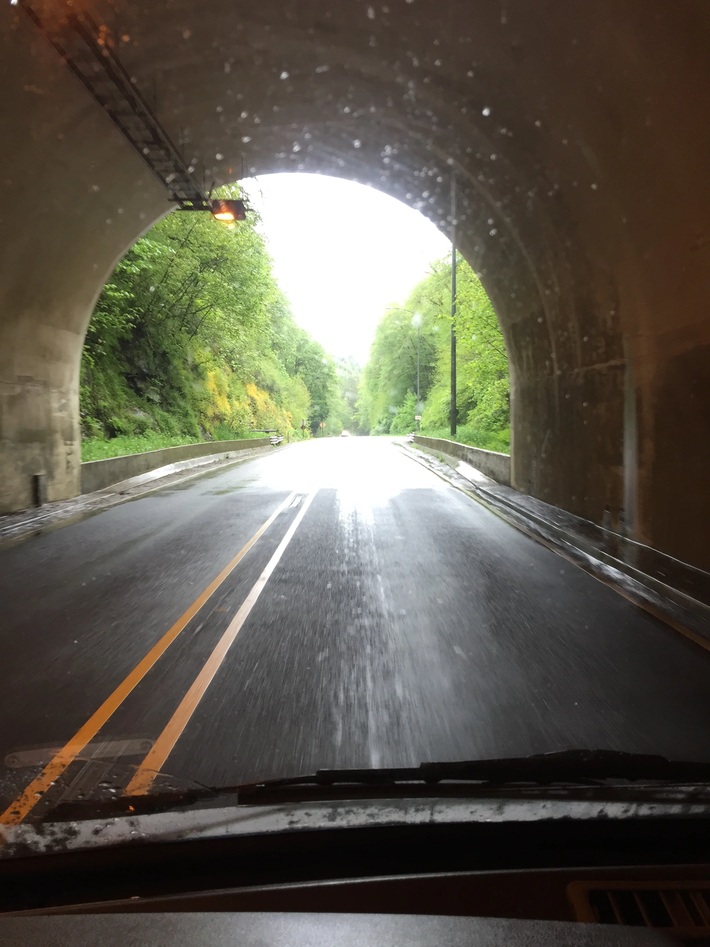 Just me, Bernie, and the dogs