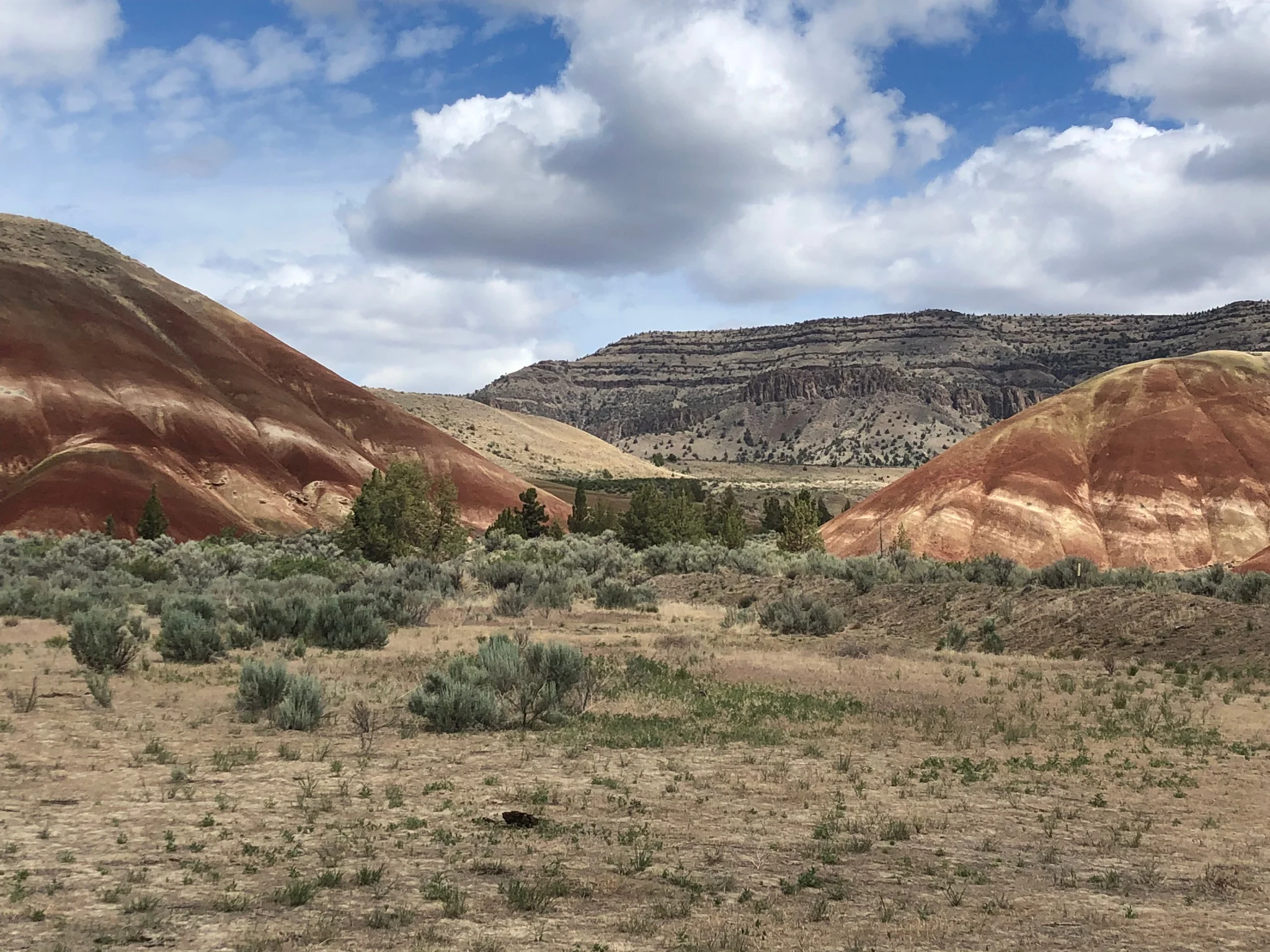 850 Miles Roundtrip in 72 hours