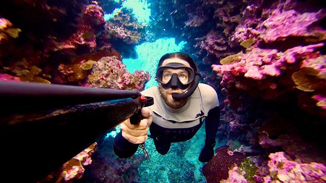 On the hunt for our dinner diving through the wild colours of a Coral Sea grotto.
Yes I do catch fish on our expeditions. Not for sport, it&rsquo;s for our survival. I choose to spearfish on the reef rather than bottom fish so I can be selective on w