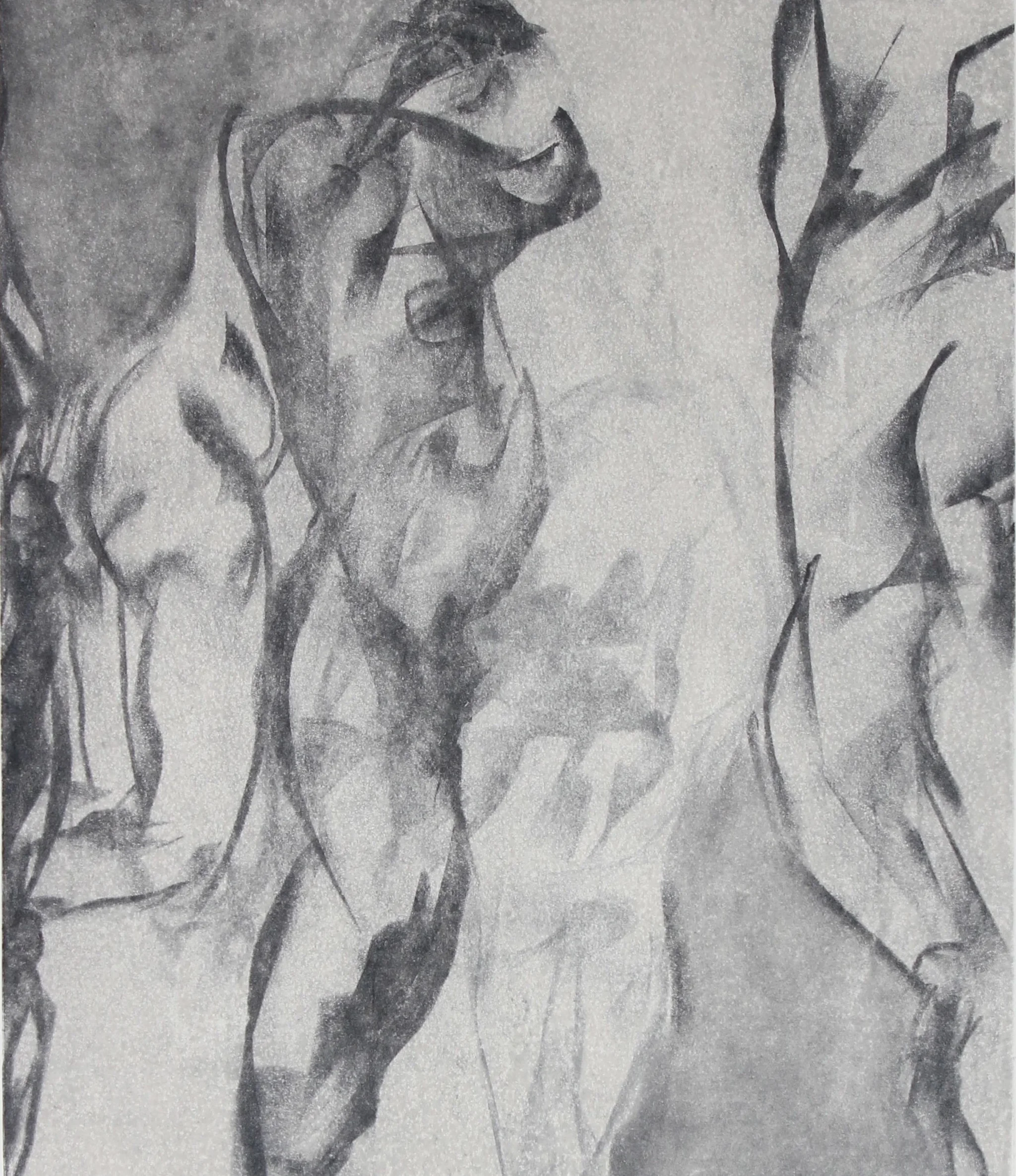 RobDelamater-Monochromatic6.jpg