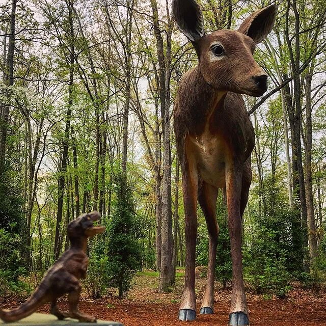 Oh deer! 2019 got kinda crazy, and #TimTheTRex and I went on a bit of an unexpected break. But the good news is that it&rsquo;s 2020, and we&rsquo;re back to populate your feed with awesome art - like this giant fiberglass deer by Tony Tasset at @cry