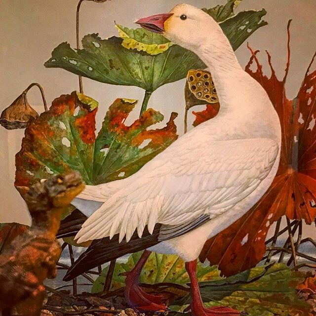 HONK! Before this horrible goose started its reign of terror in the village of #UntitledGooseGame, it was immortalized in the work of Scott and Stuart Gentling, two #FortWorth artists known for paying homage to 19th and 20th-century naturalist artist