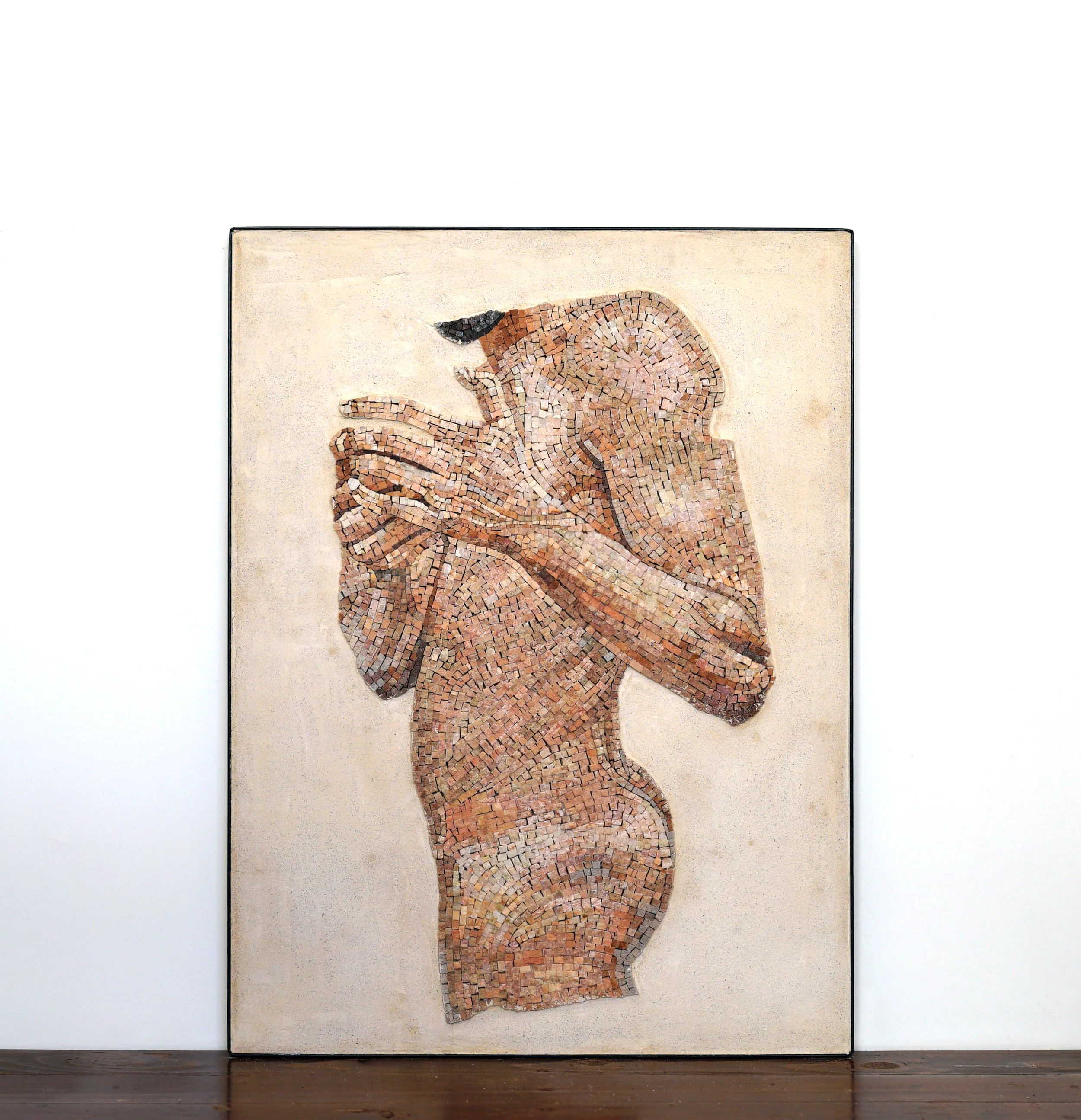 OMI012-Torso #01.jpg