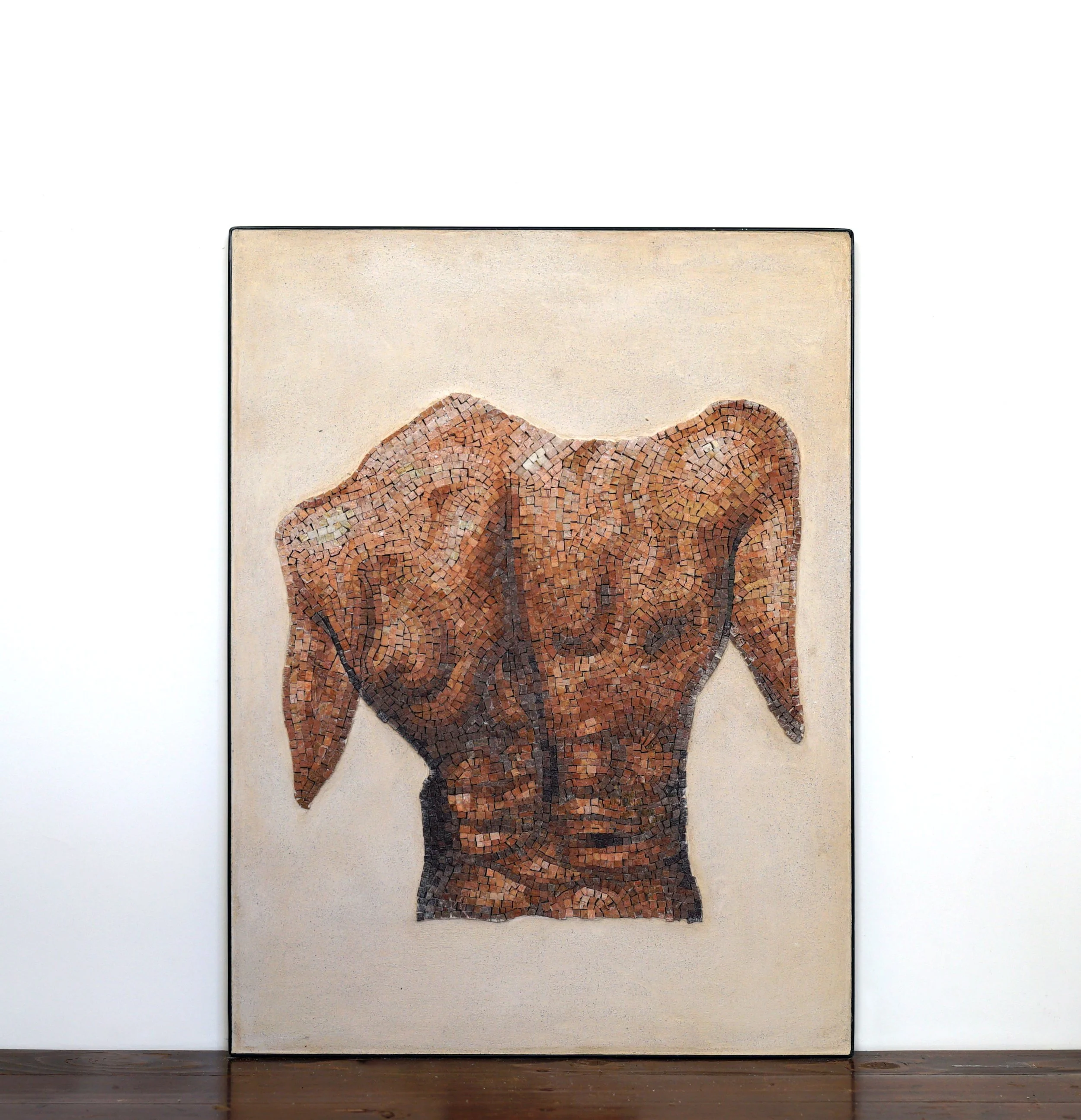 OMI019-Torso #08.jpg