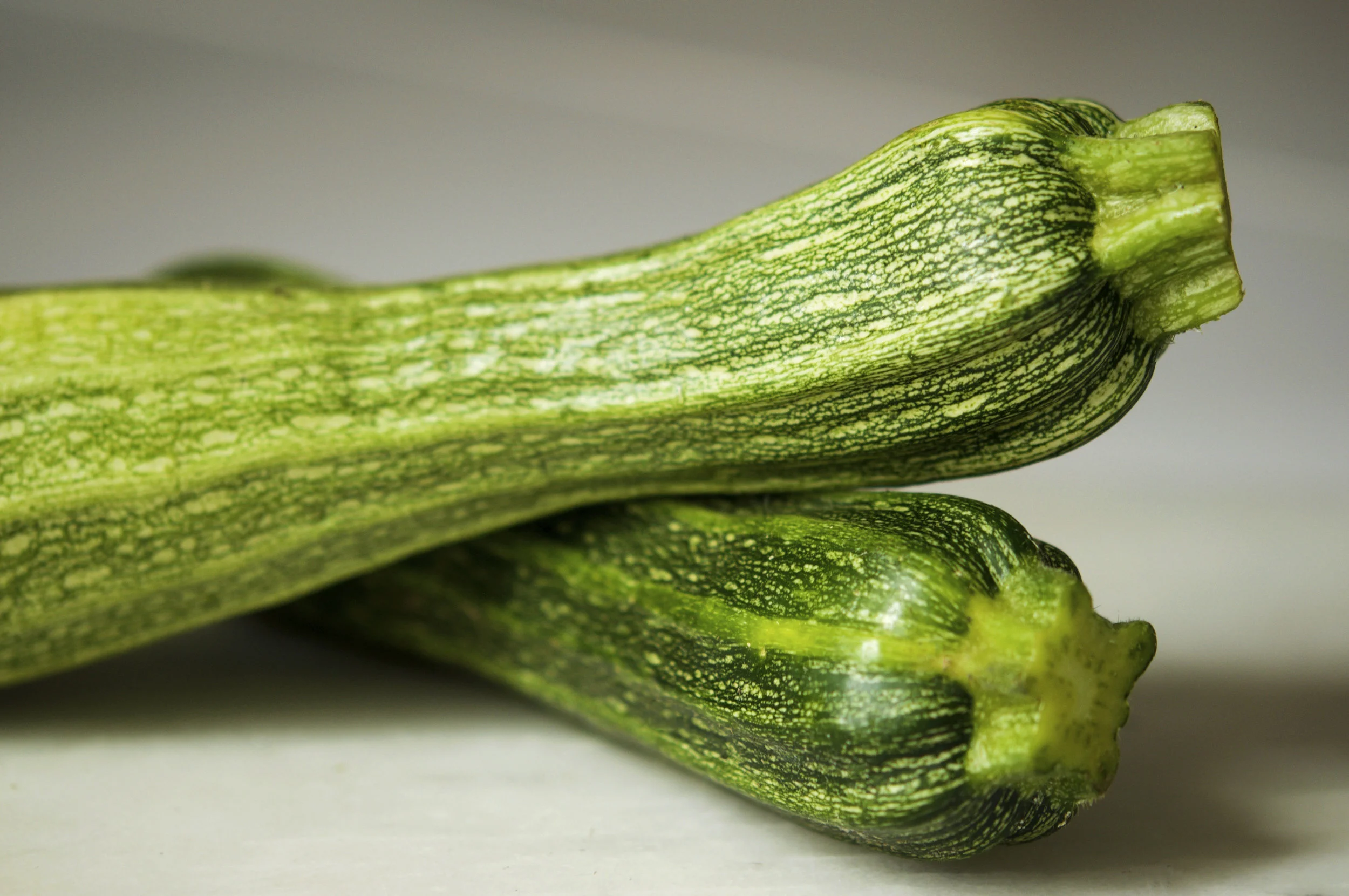 Zucchini9.jpg
