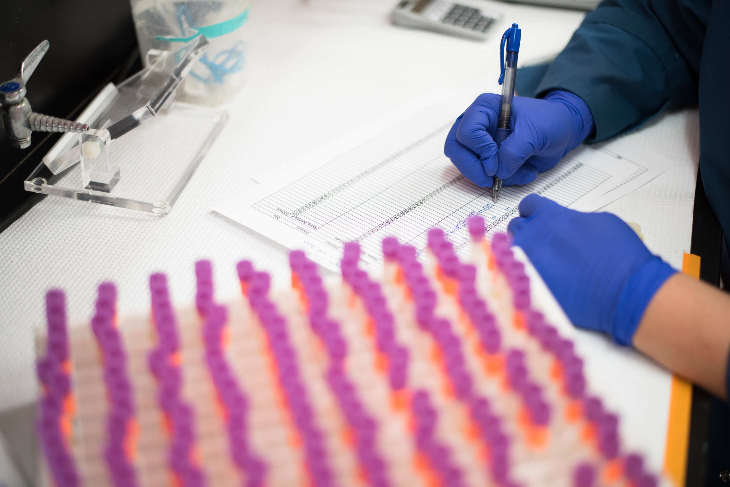Lab.6548.jpg