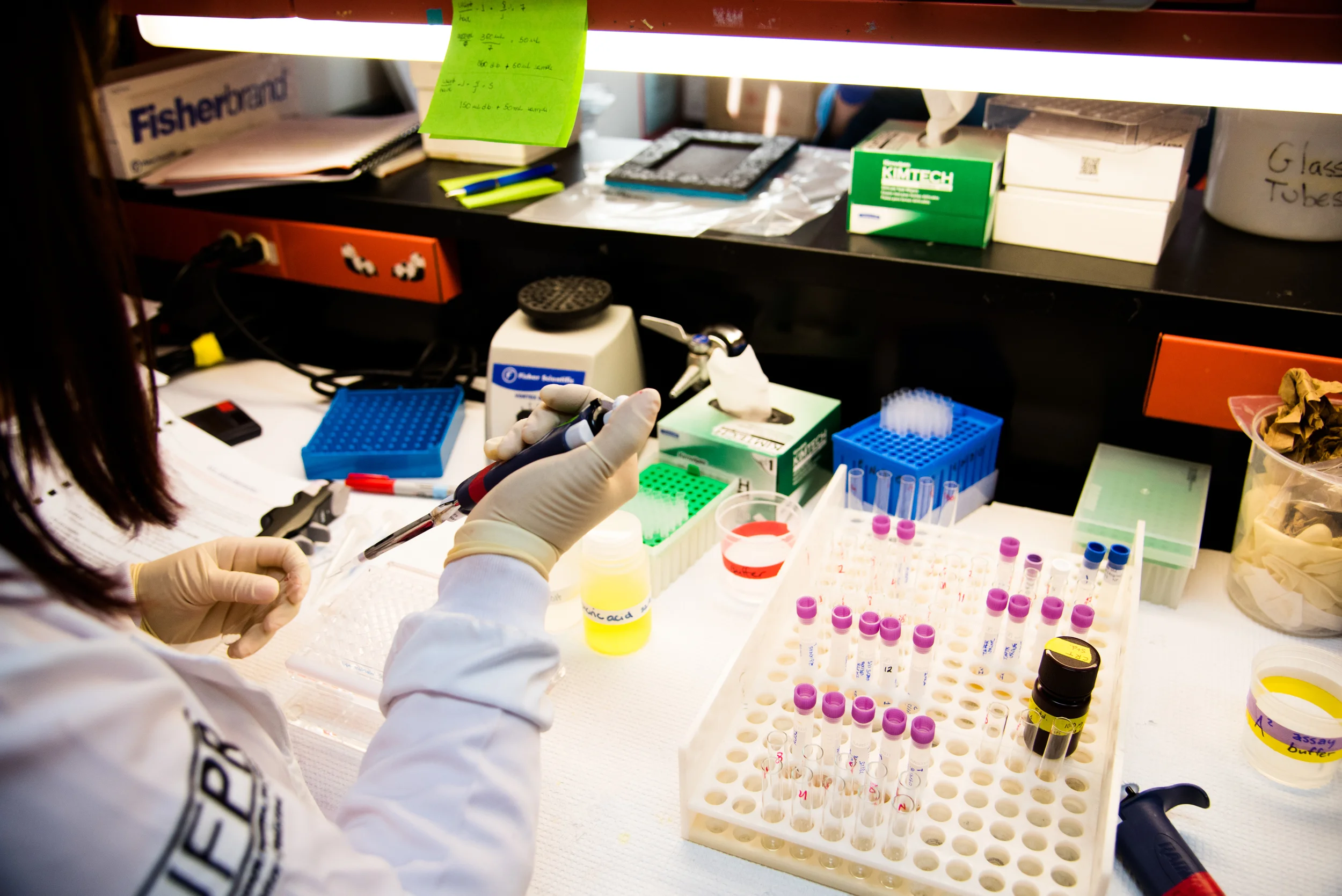 Lab.6616.jpg
