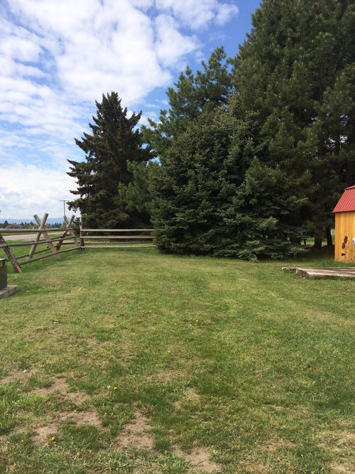The plot where the shop will be placed