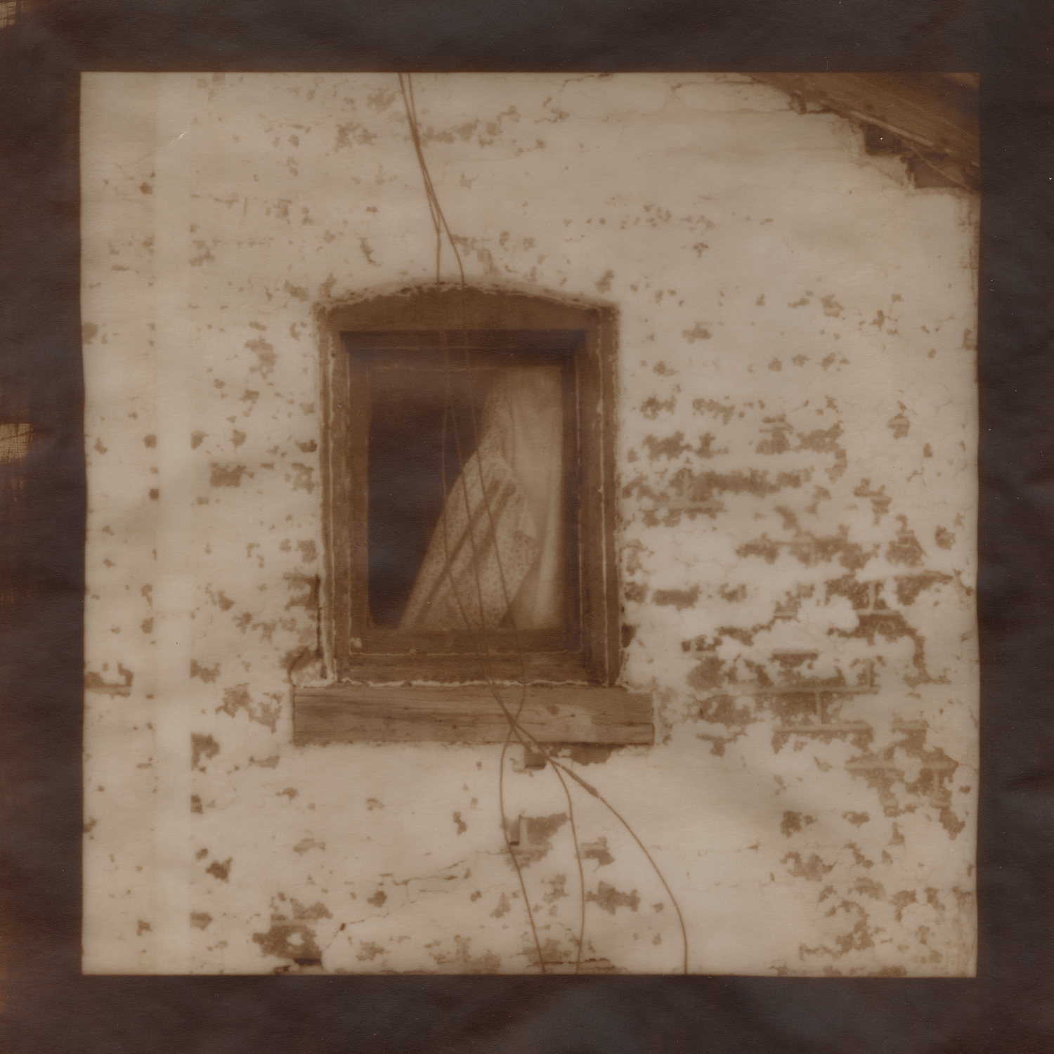 Vellum, arrowroot size, 15% silver nitrate, 18 minute UVBL exposure