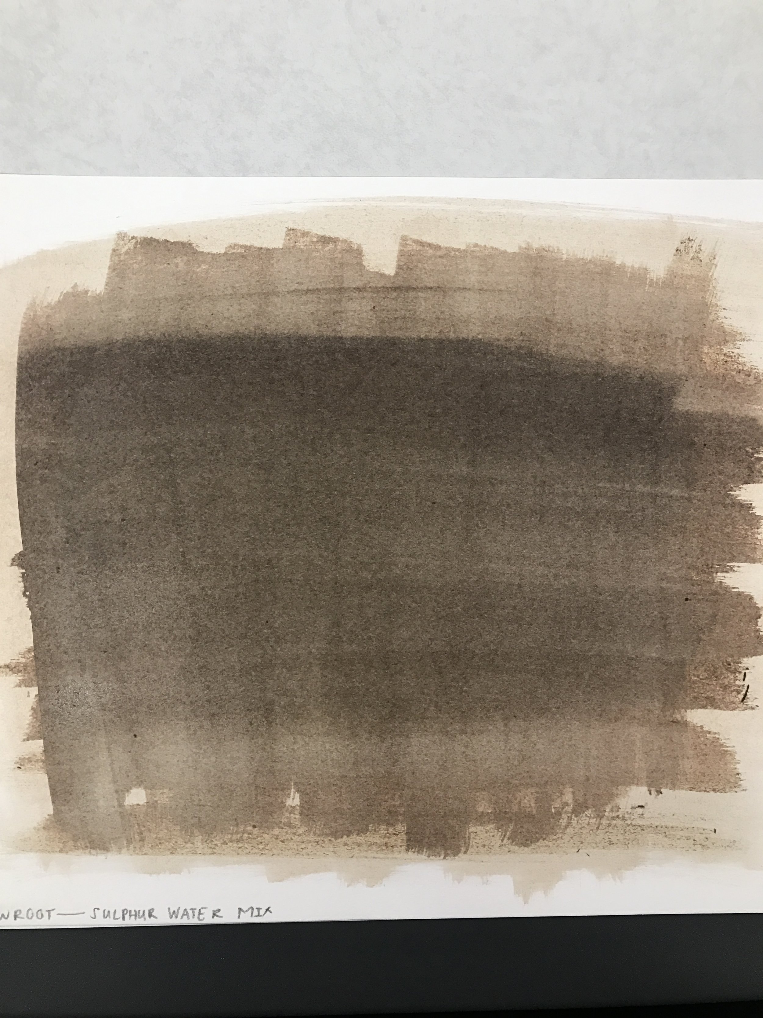 Coating the paper with a 1:1 silver nitrate, water/sulfur/gypsum mix.
