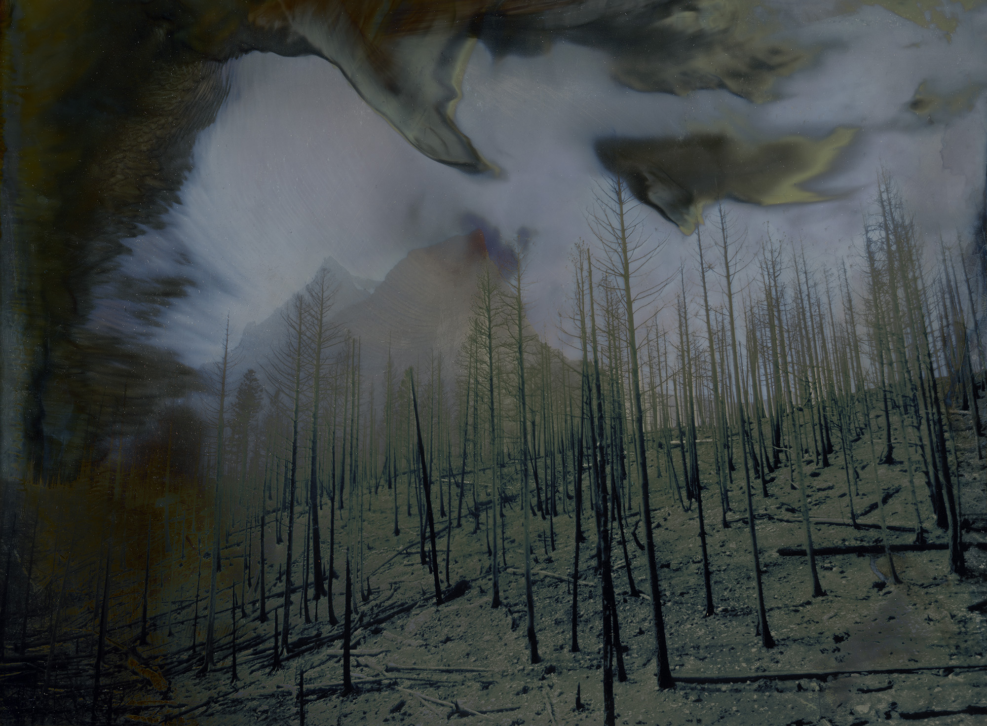 Chromoskedasic sabattier, 2015.