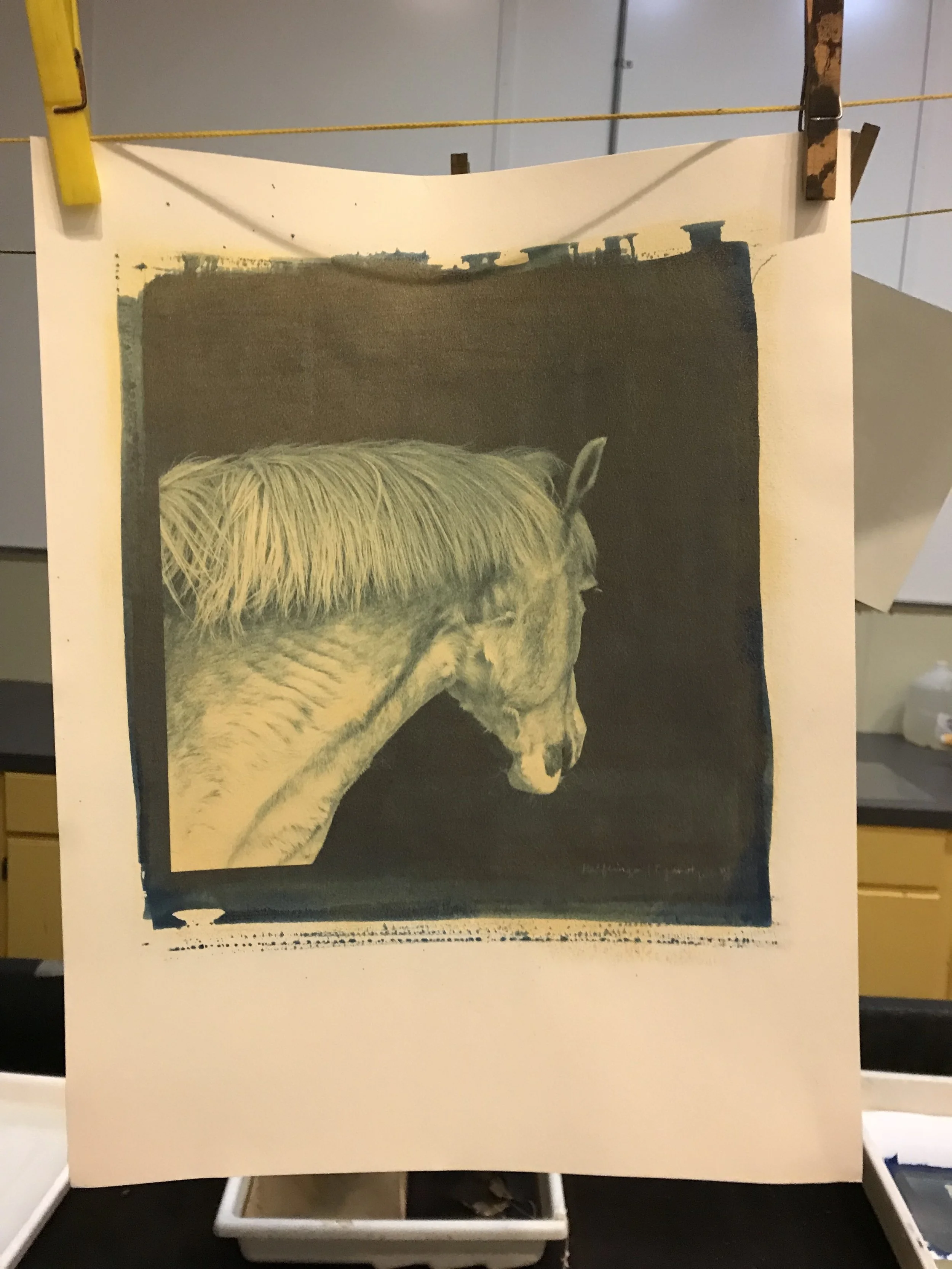 Cyanotype over gesso. ©Sarah B. Gilliam 2018