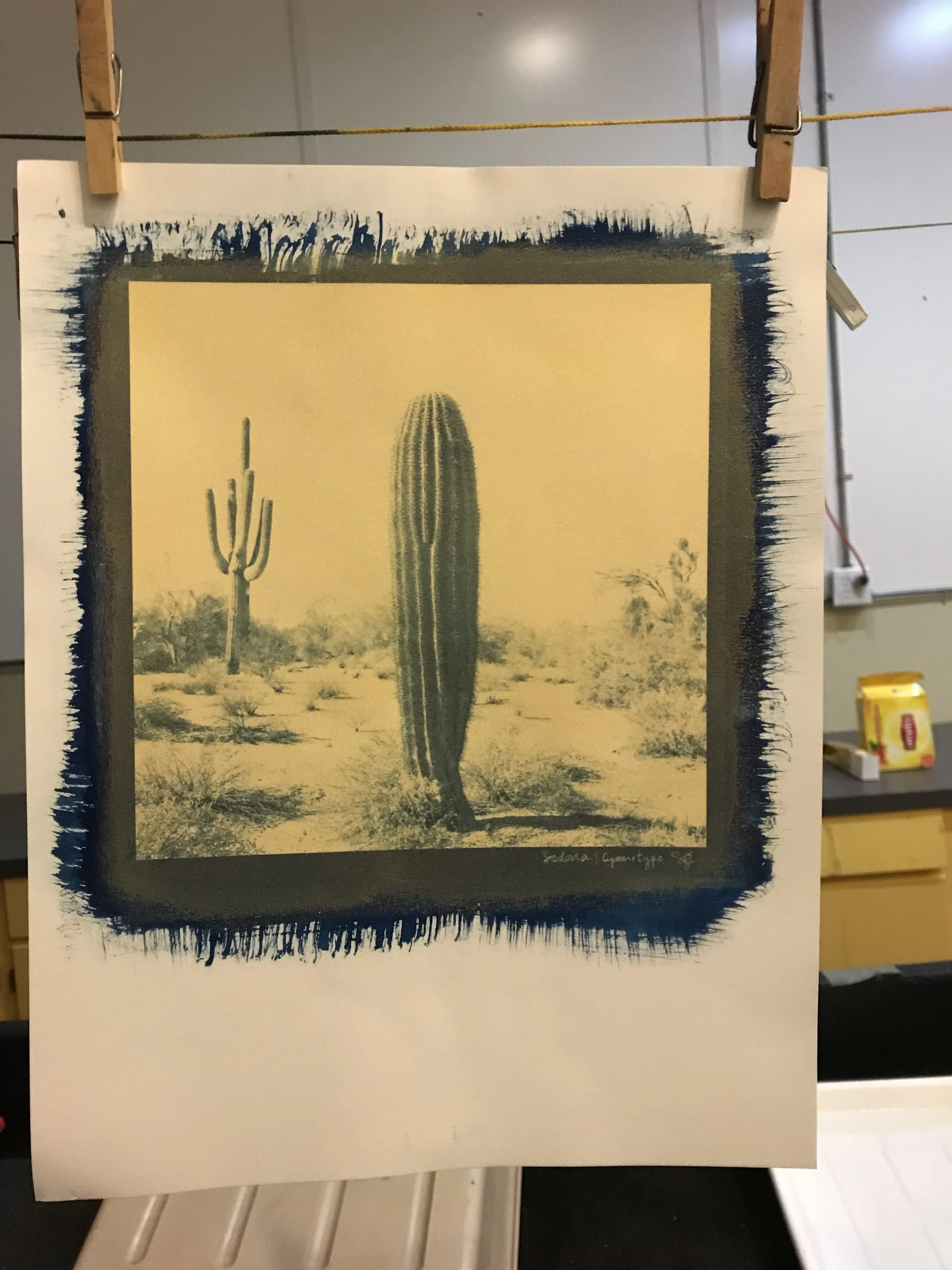 Cyanotype over gesso. ©Sarah B. Gilliam 2018