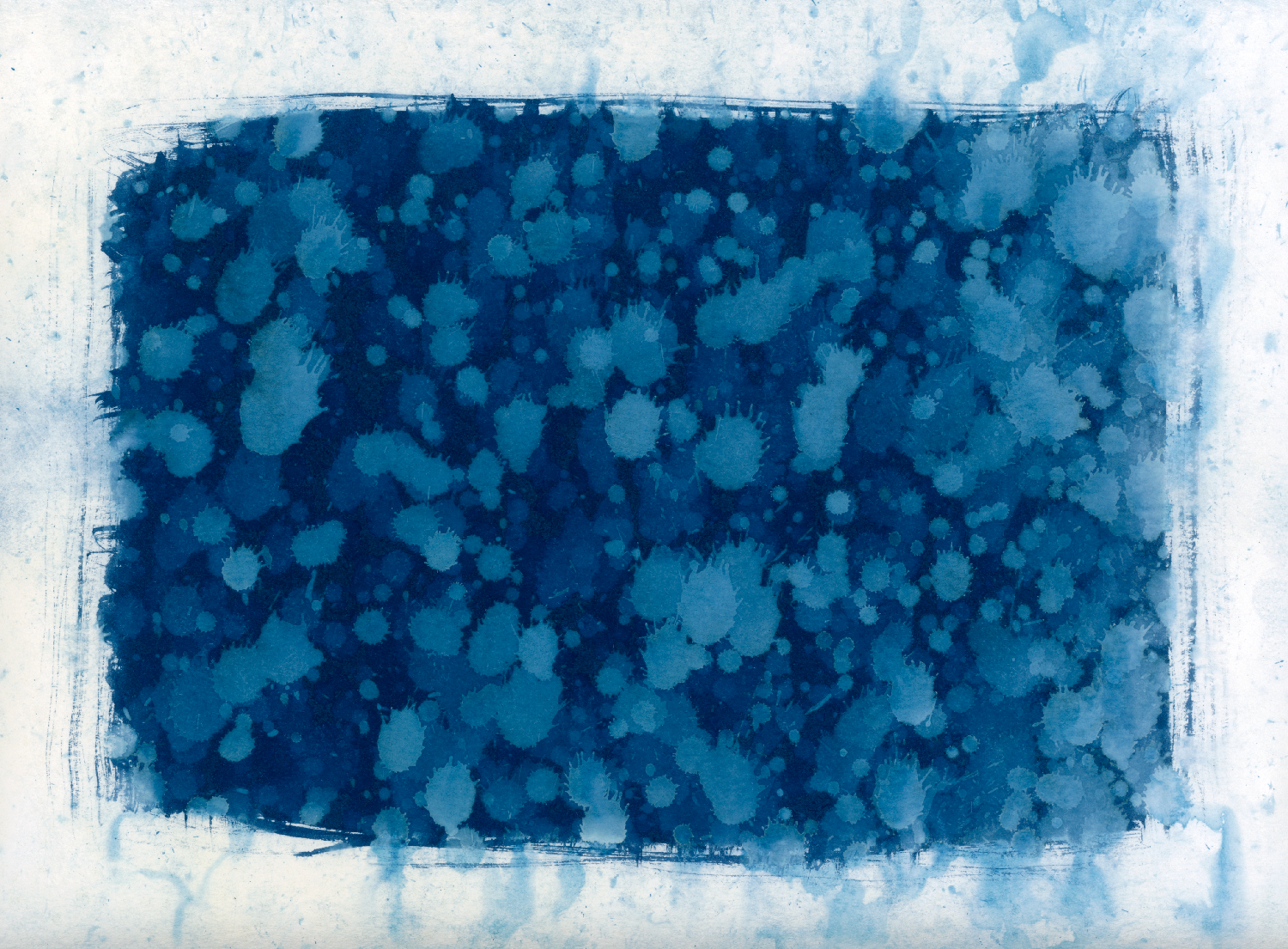 18/31 (2): cyanotype on strathmore