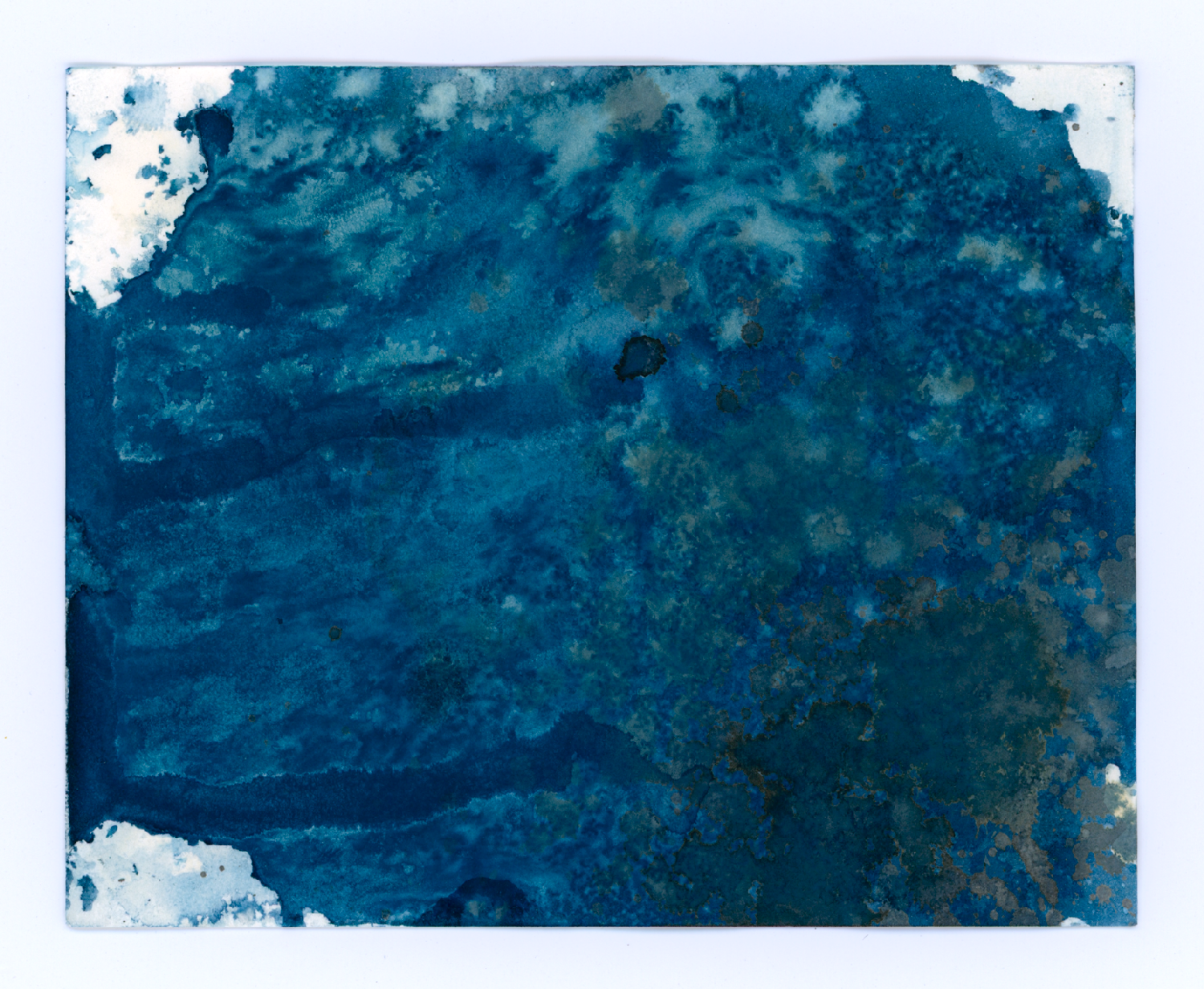 28/31 (1): experimental cyanotype on canes