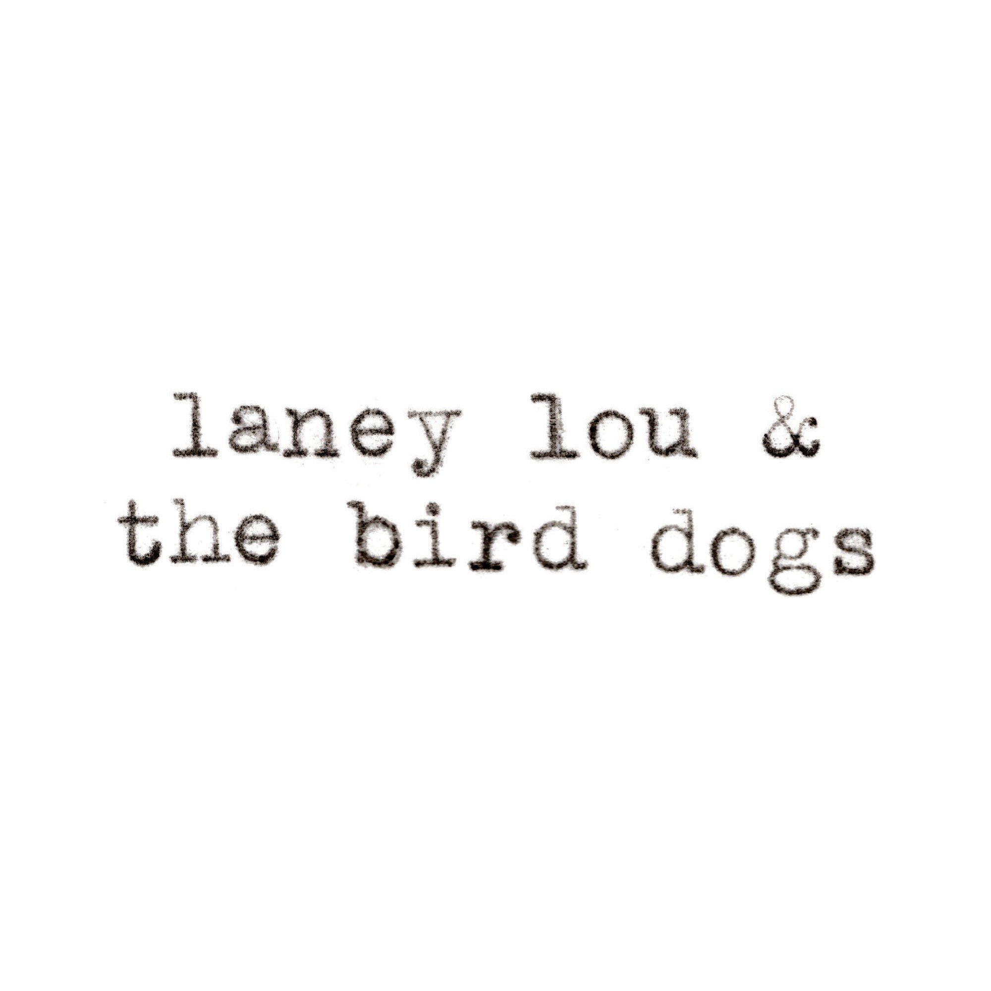 the-bird-dogs.jpg