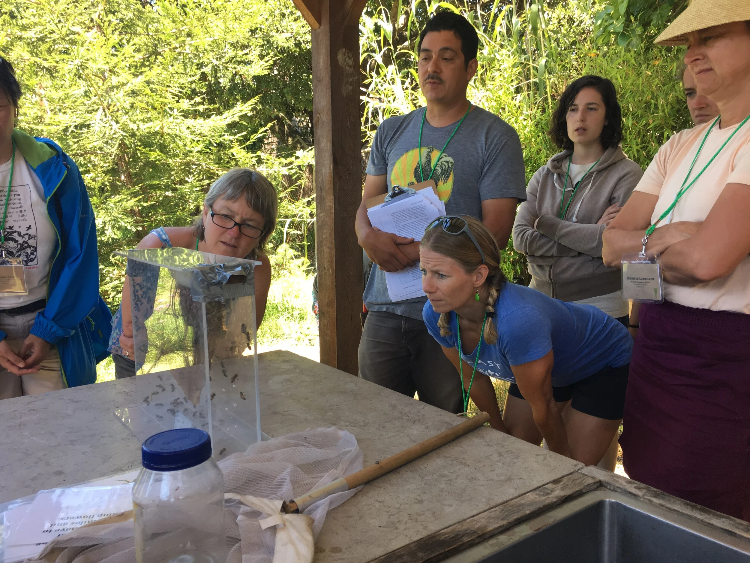 Honeybees teach us about sustainability, community, biodiversity and symbiosis in the garden.