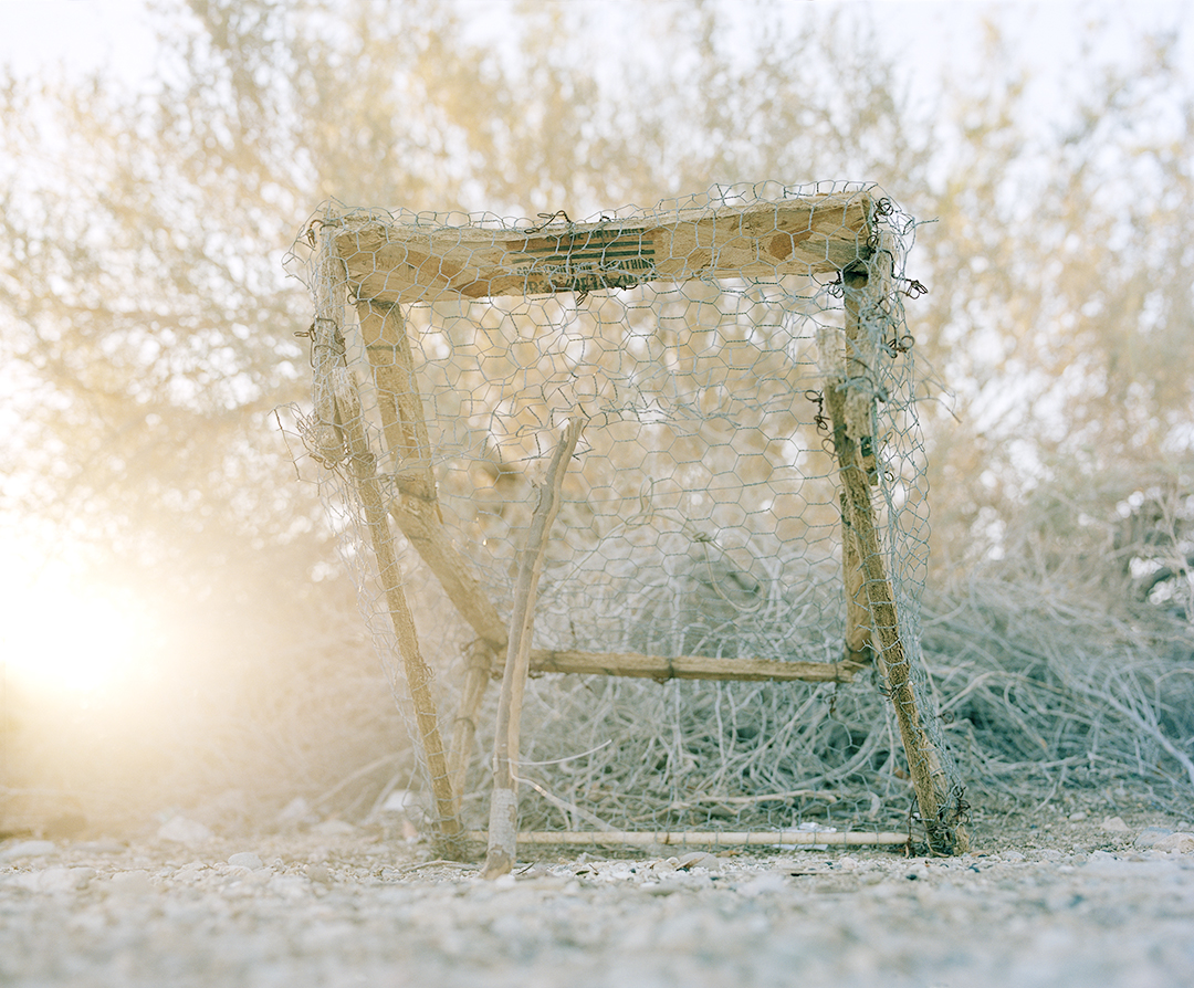  Quail Trap 