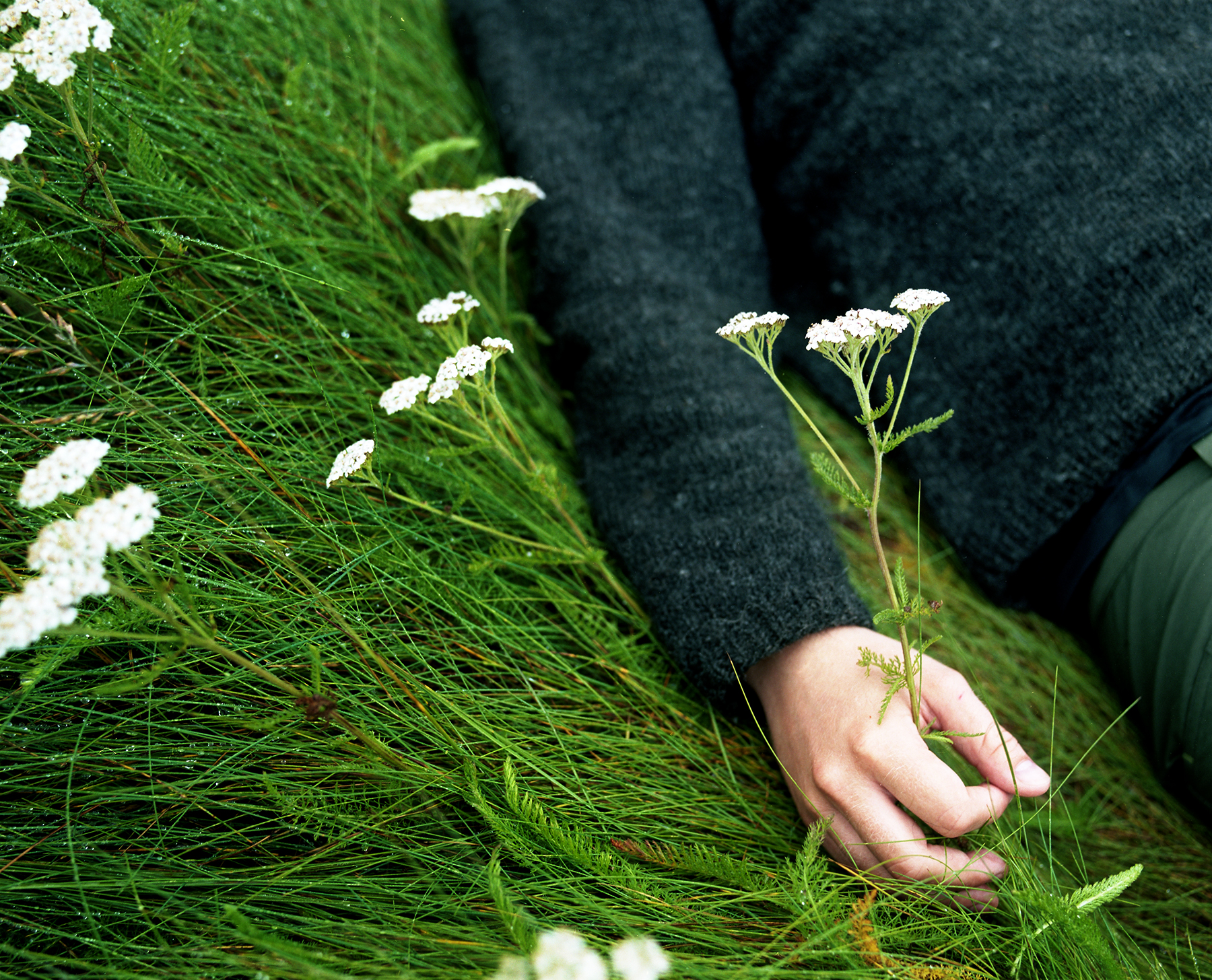  Valur and the flowers 