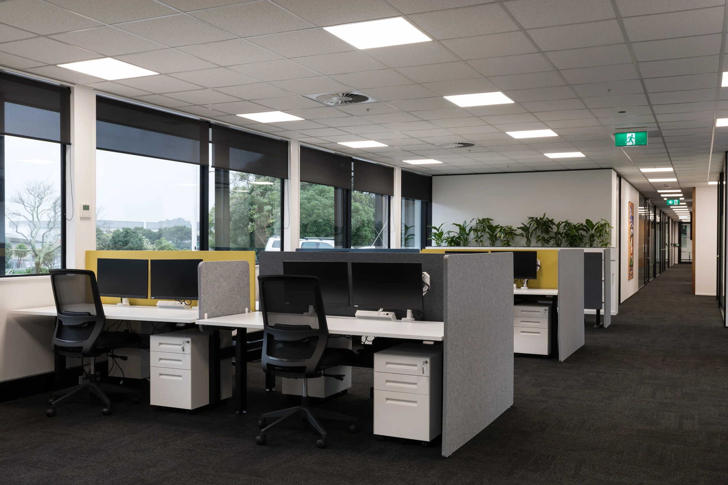 Bluebird Head Office