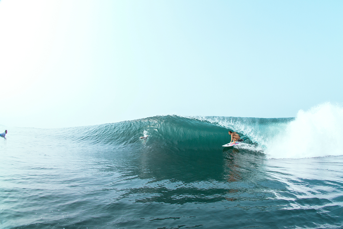Tarnea killing it - Again // Thanks for the view on the inside...