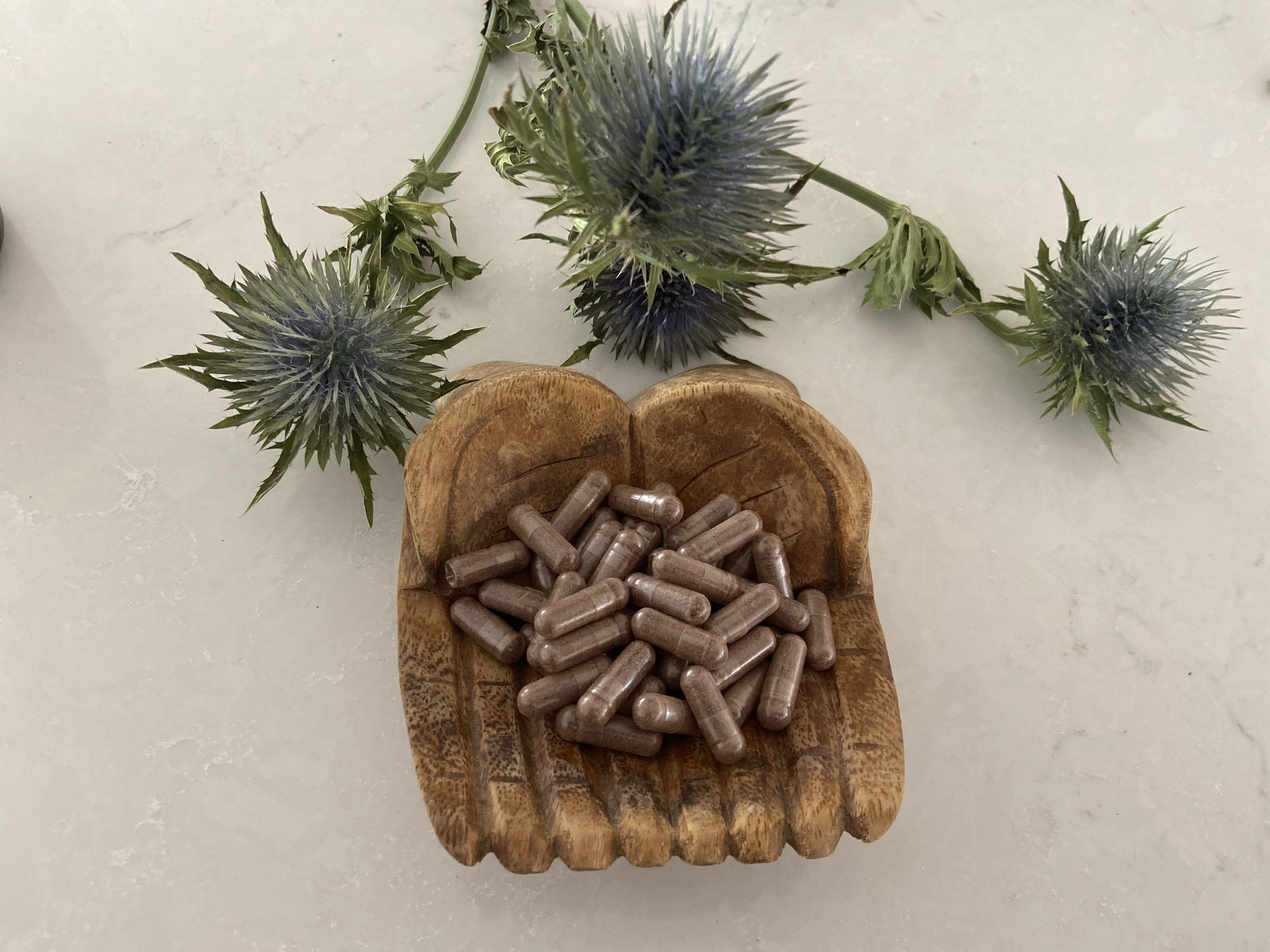 Placenta encapsulation — Gentle Birth Doula