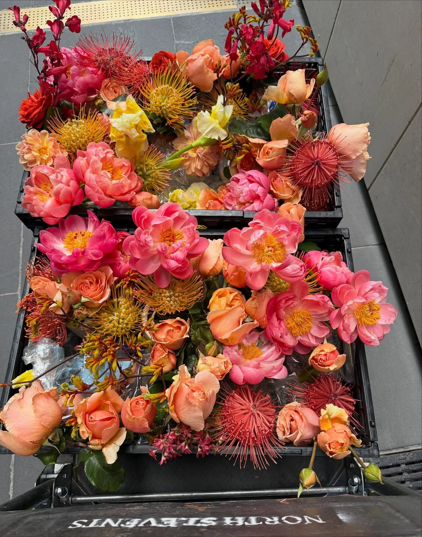 Bright spring babies.