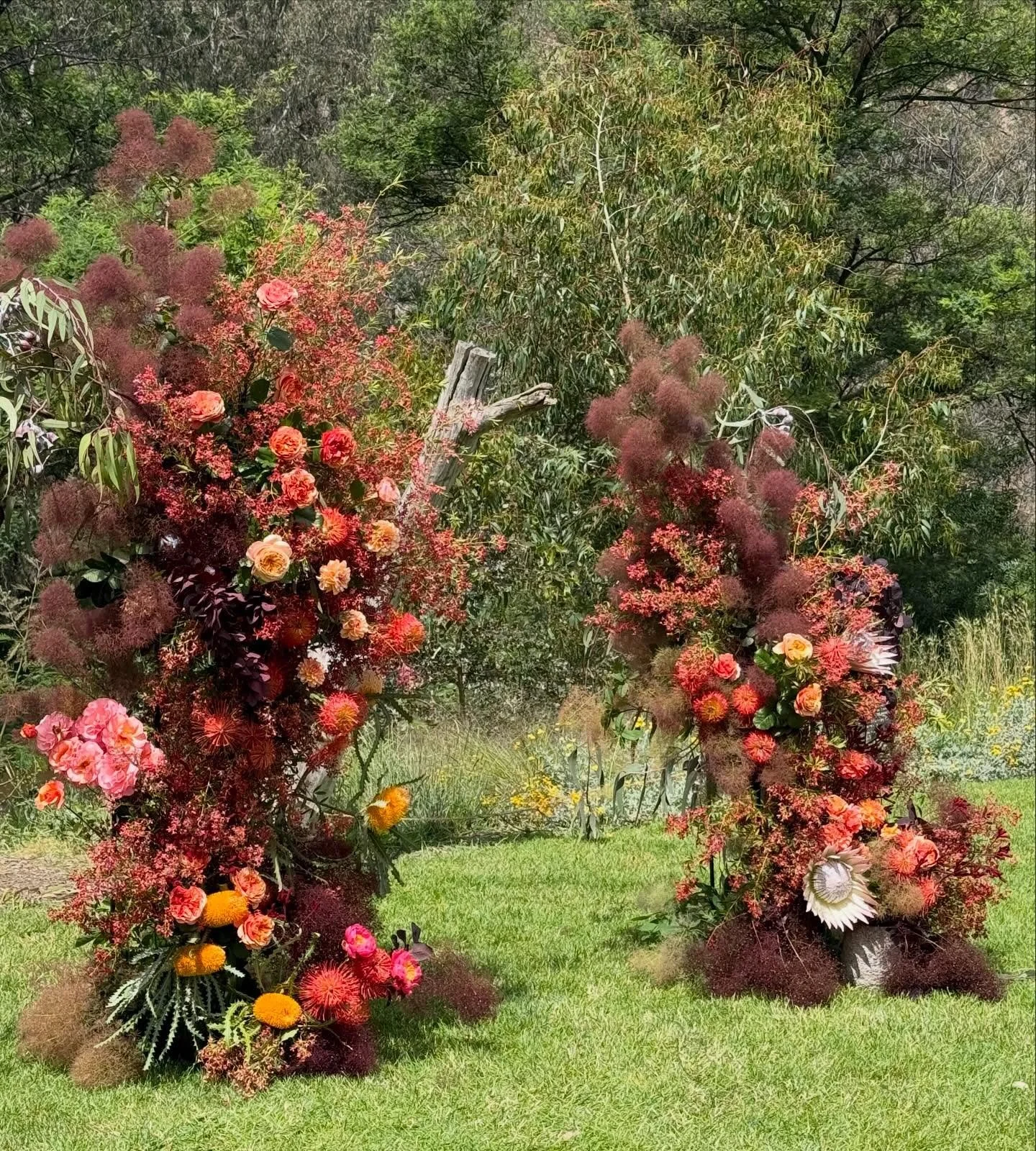 Nikita &amp; Owen. 05/12/25 @collingwoodchildrensfarm Huge thanks to @s.arse for the epic help!