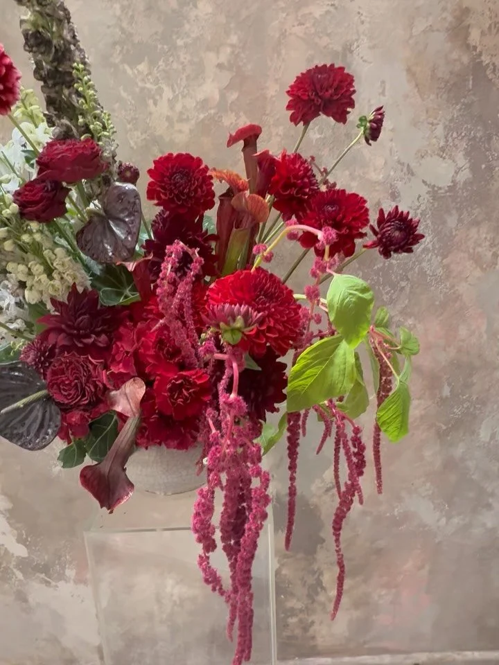 Surprise!!! Love me a birthday party turned surprise engagement, huge thanks for the trust. Also, thank you to the epic humans @tipplerandco