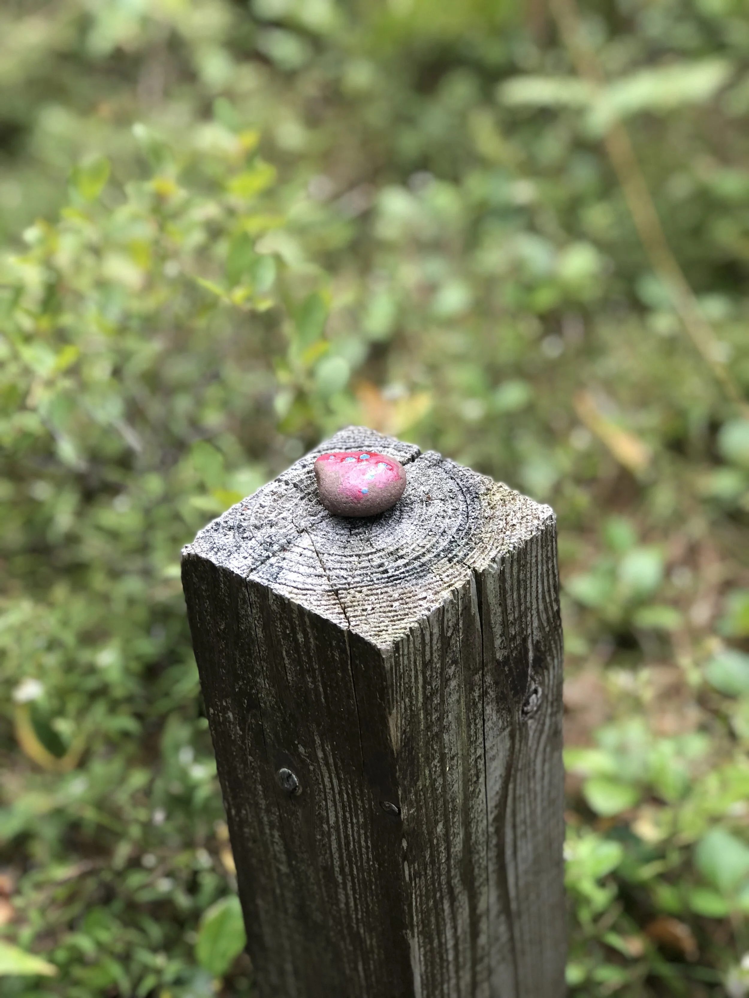 At the Water's Edge