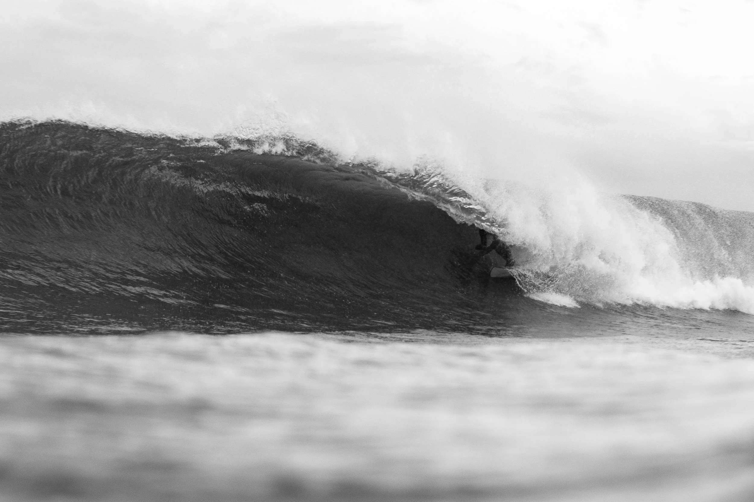 67_Aviad_Deal_B&W_Crop-2 copy.jpg