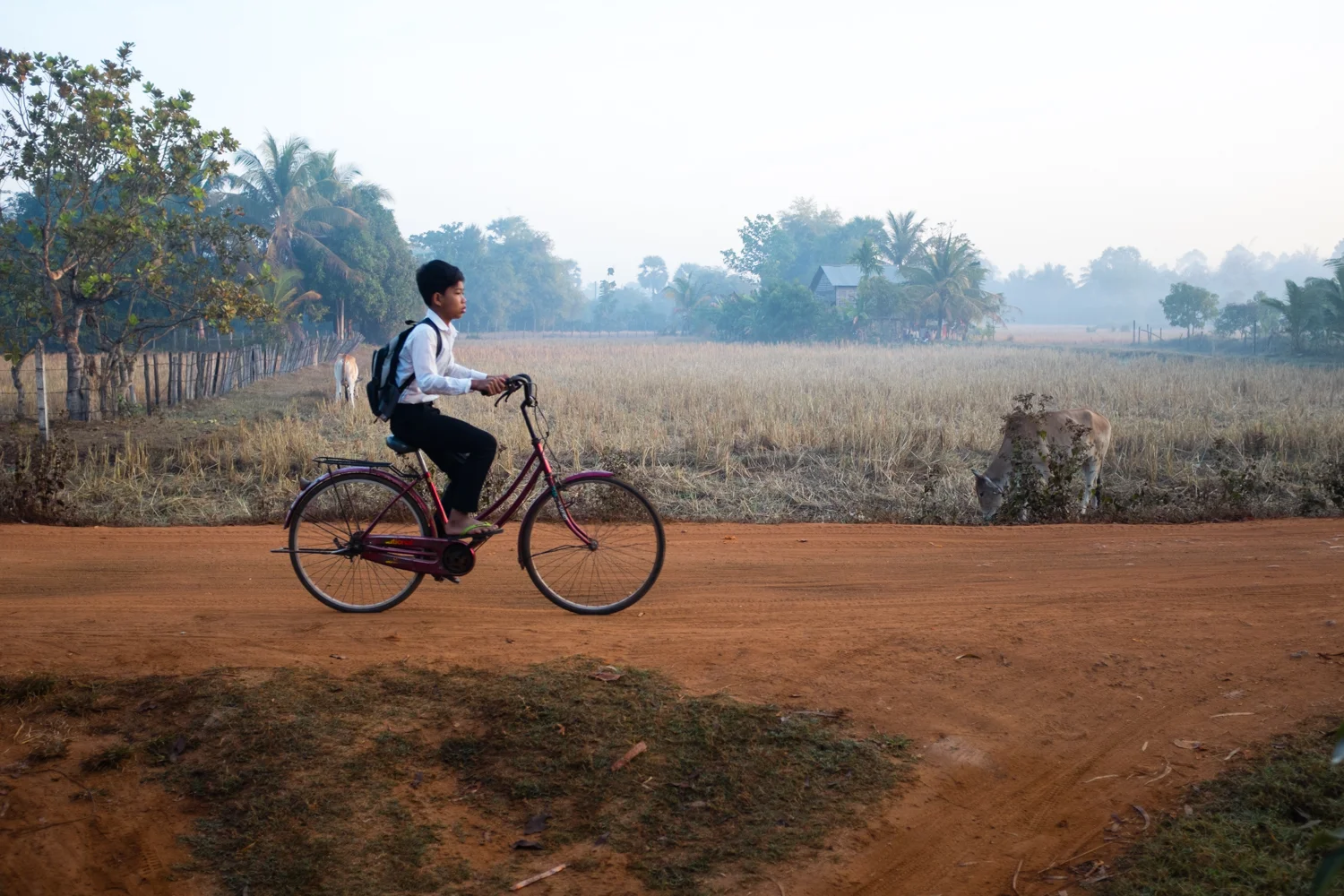A boy rides to school just outside Siem Reap, Cambodia, on January 21, 2015. 