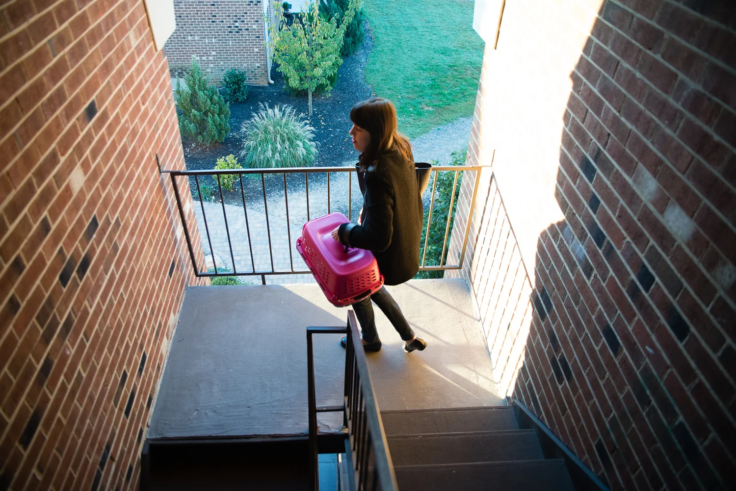 Caroline's cat Astrid has been a big part of her recovery. Here, she walks down the stairs in the A building to take Astrid to the vet.