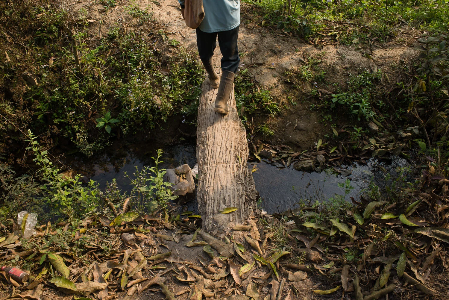 Suwat Jutnai, 61, worked in rice fields filled with water that have been contaminated by chemicals since the opening of the Tunkum Ltd. gold mine. Locals suspect the contamination comes from the mine's chemical tailings pond. Pictured here, another resident of Fack Huay (Gok Sathon) walks over a contaminated creek to Jutnai's fields.
