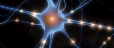 neuron.jpg