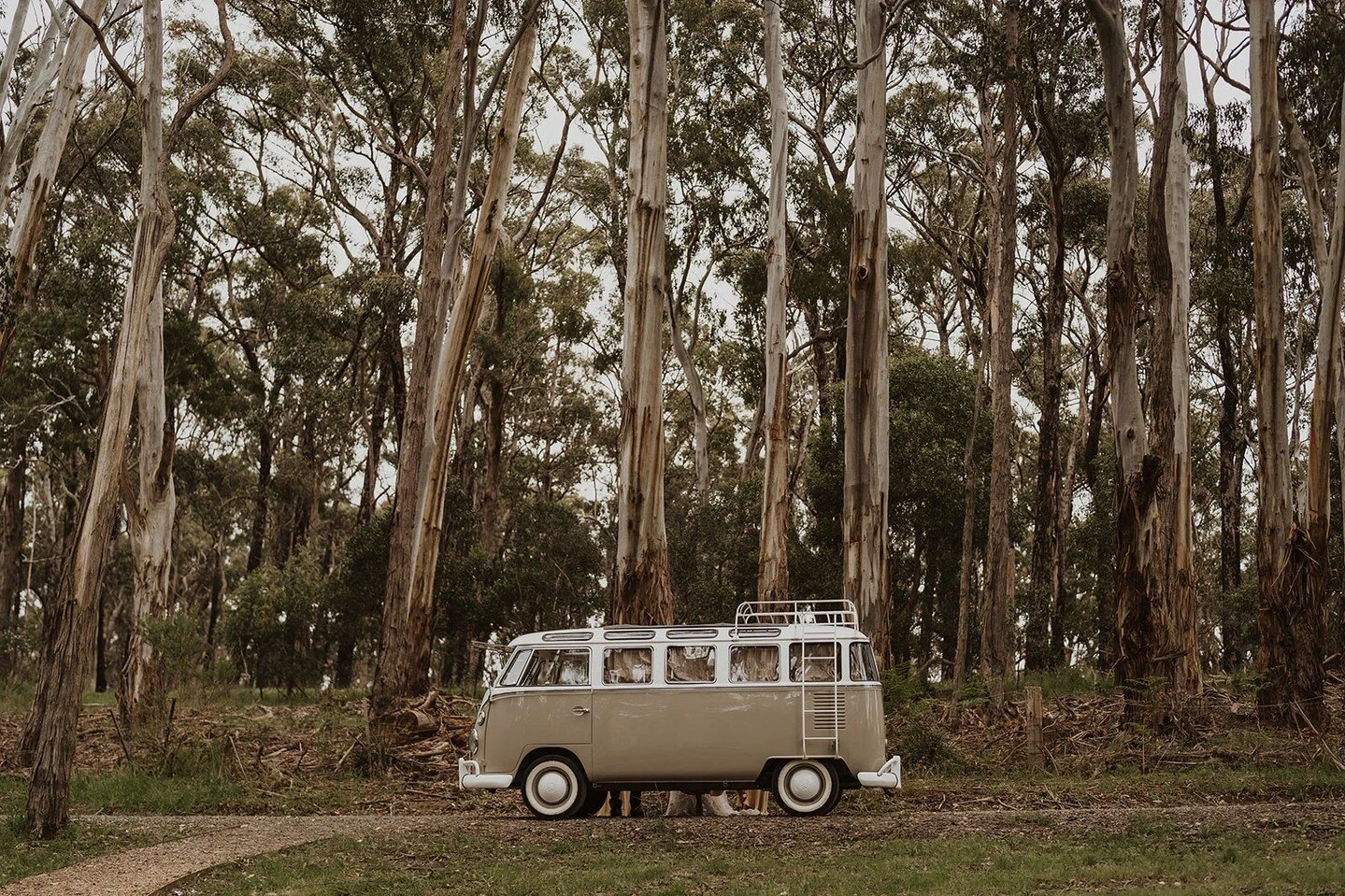 Arriving in style…
π· @georgiaverrells
*
*
*
#theburroweventspace #daylesfordmacedonwedding #bohemianwedding #trianglearbour #arbour #groom #bride #brideandgroom #festoonlights #festivalwedding #hipsterwedding #daylesfordwedding #weddingstyle