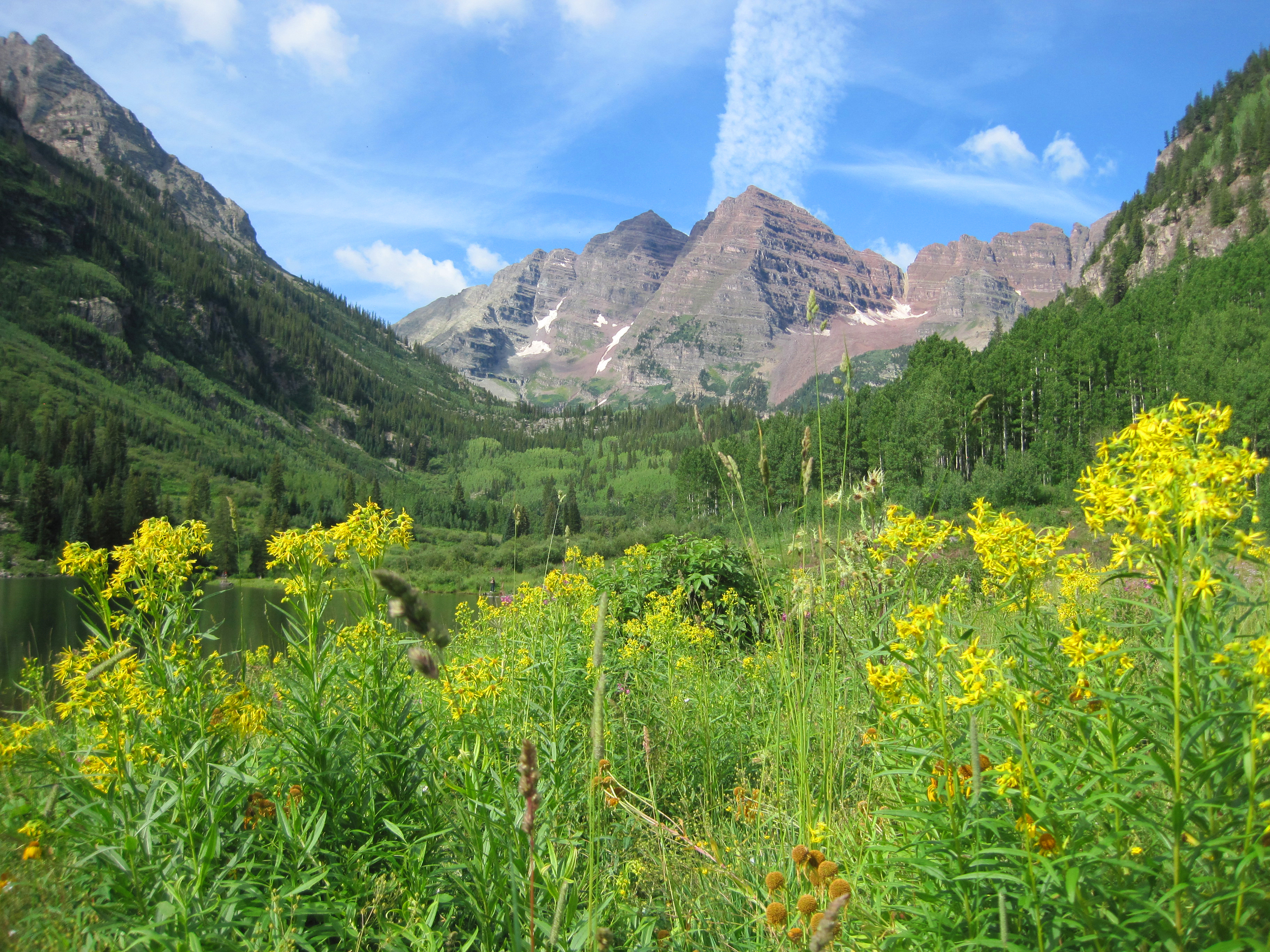 IMG_4383.JPG