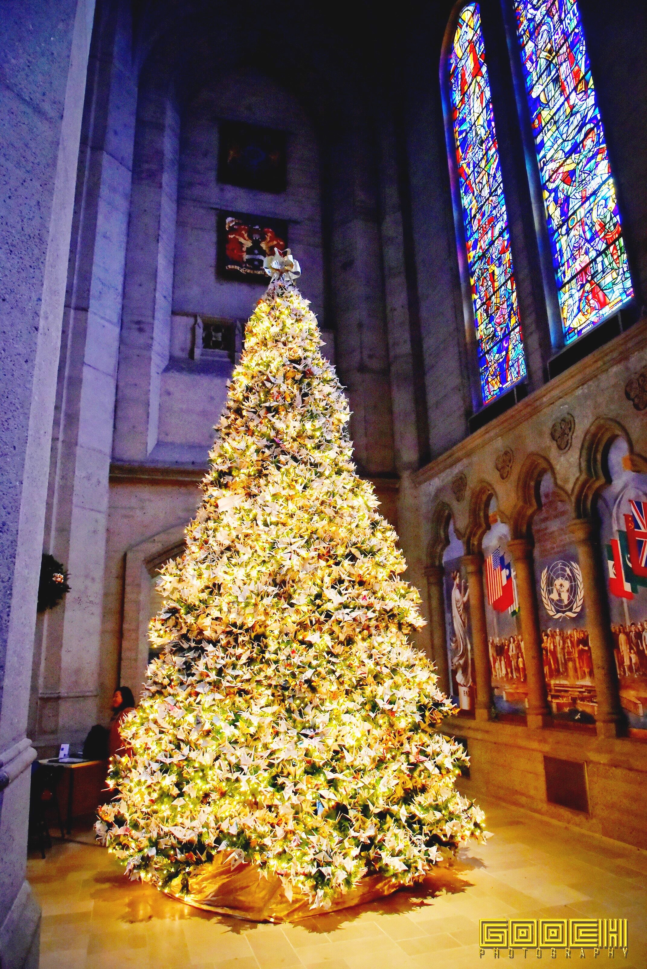 Rwf World Tree Of Hope